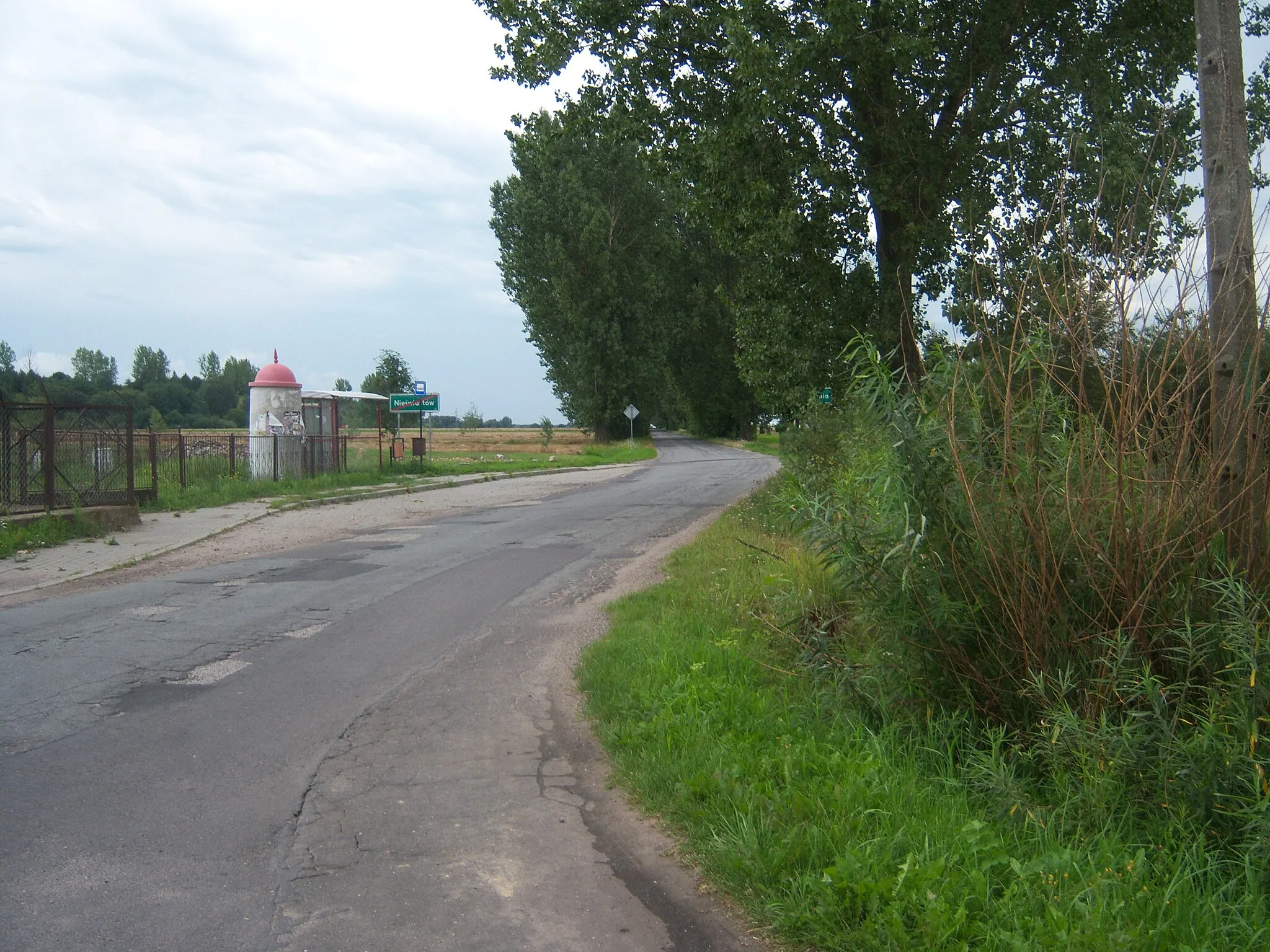 Photo showing: Municipal road to Warznia