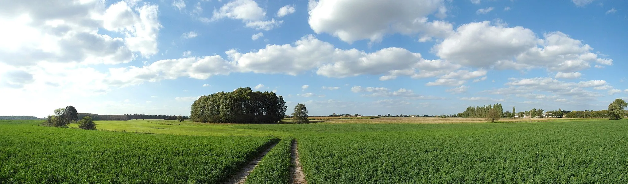 Photo showing: Wielka river valley landscape in Murzynowo Kościelne