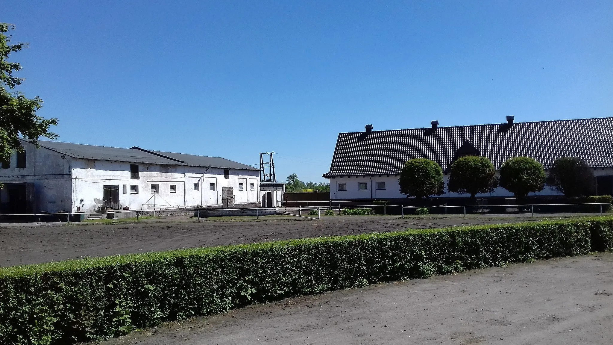 Photo showing: Stadnina koni w Mieczownicy