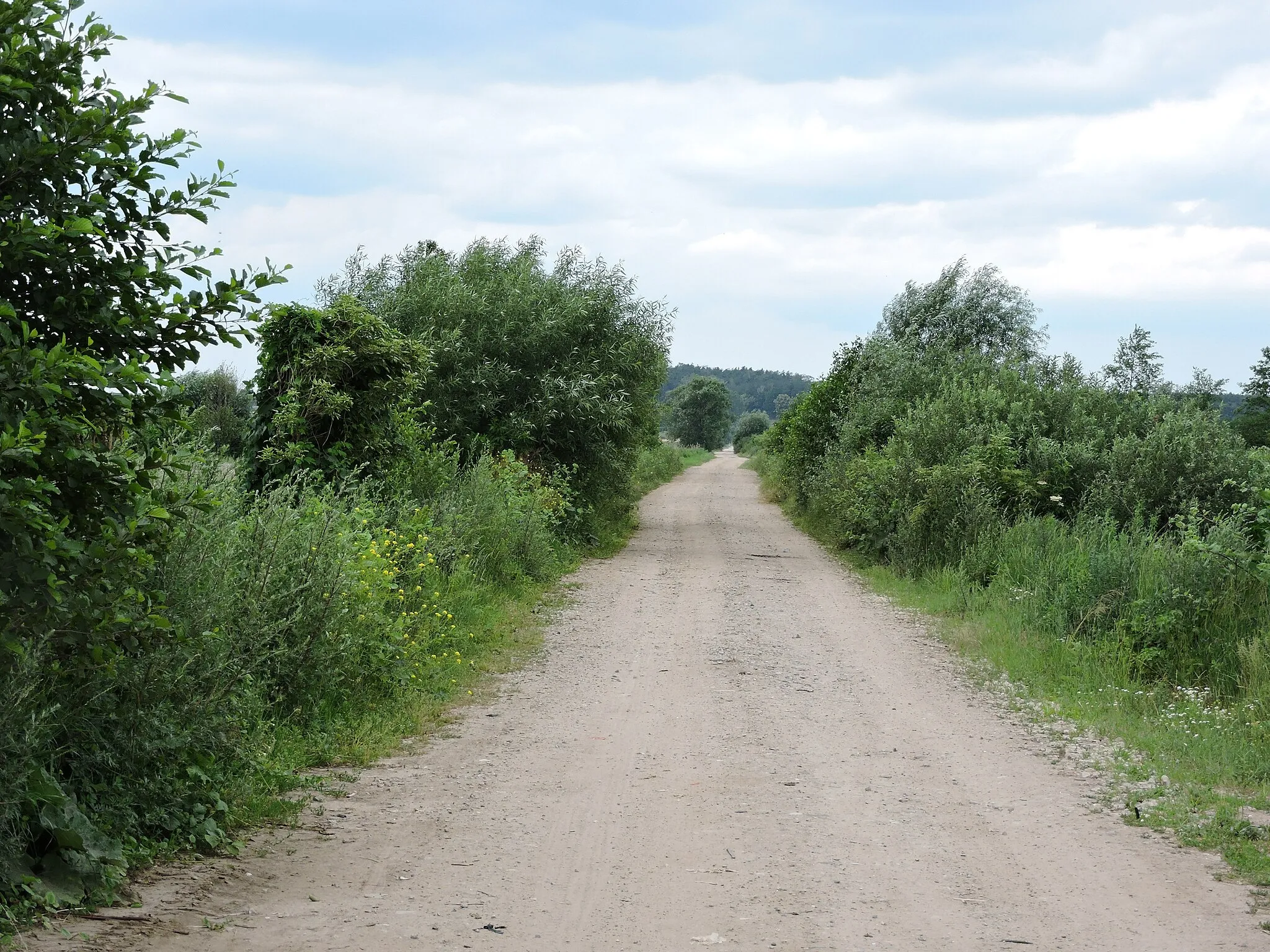 Photo showing: Droga w pobliżu miejscowości Lutnia
