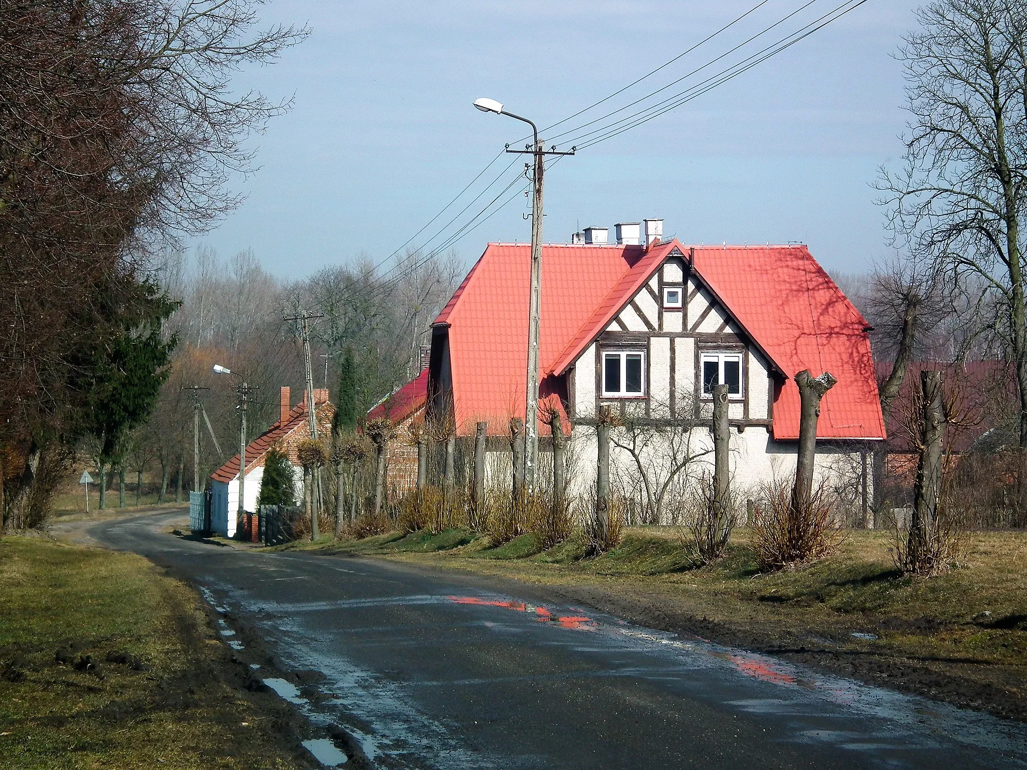 Photo showing: Kotusz - fragm. wsi.