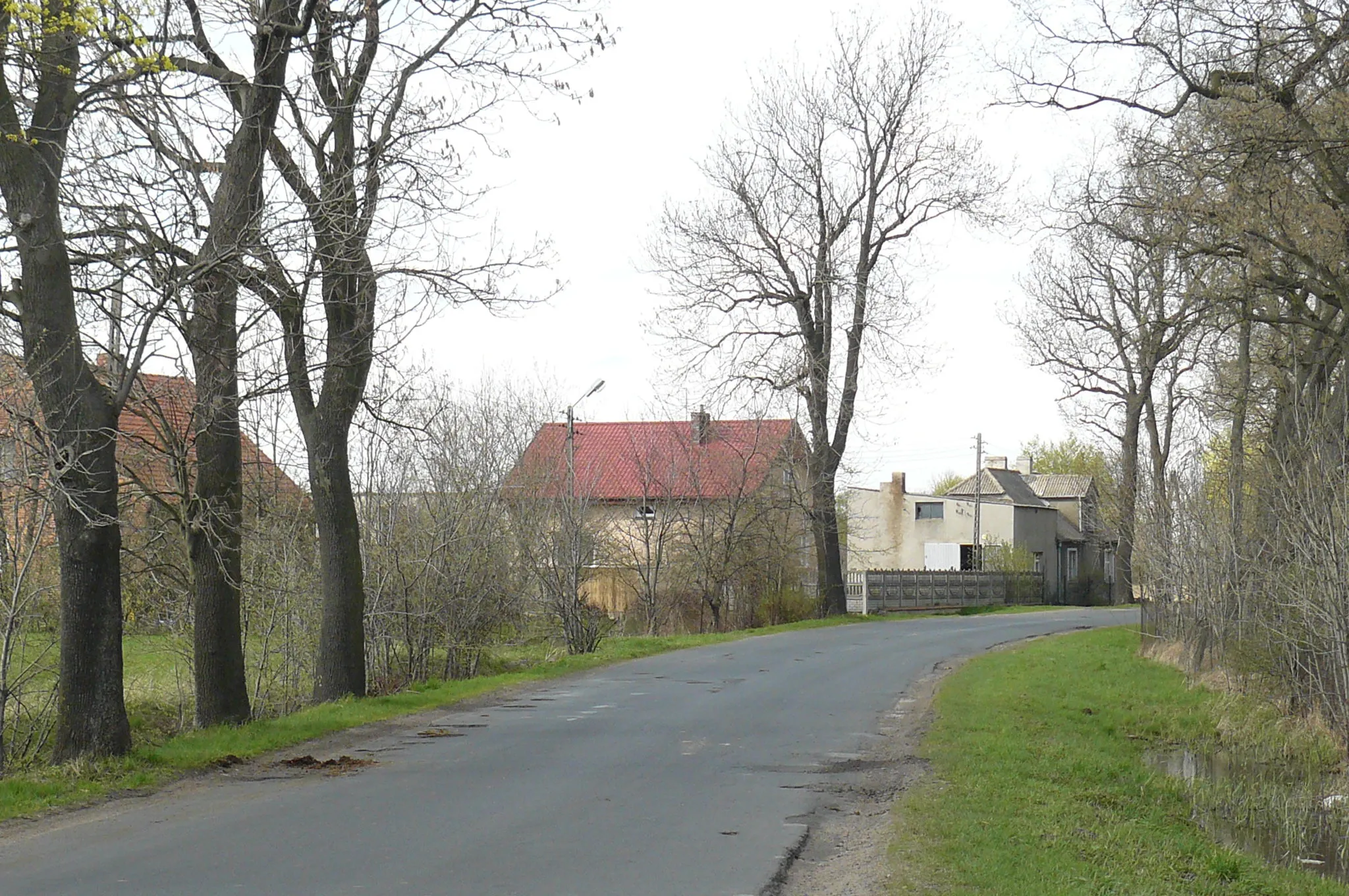 Photo showing: Klony, PL.