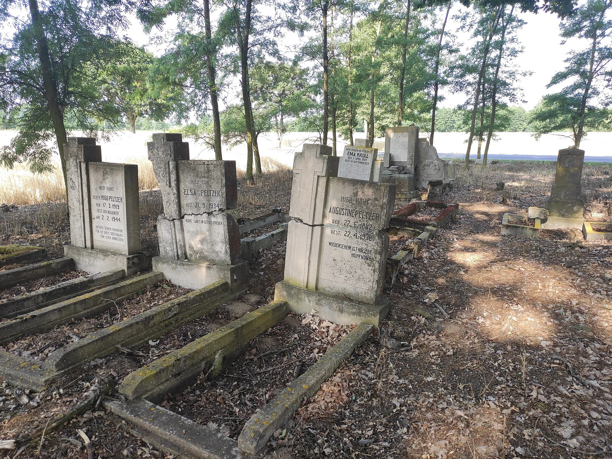 Photo showing: Evangelický hřbitov (Cmentarz ewangelicki w Kiejszach), Kiejsze, Okres Koło, Velkopolské vojvodství, Polsko