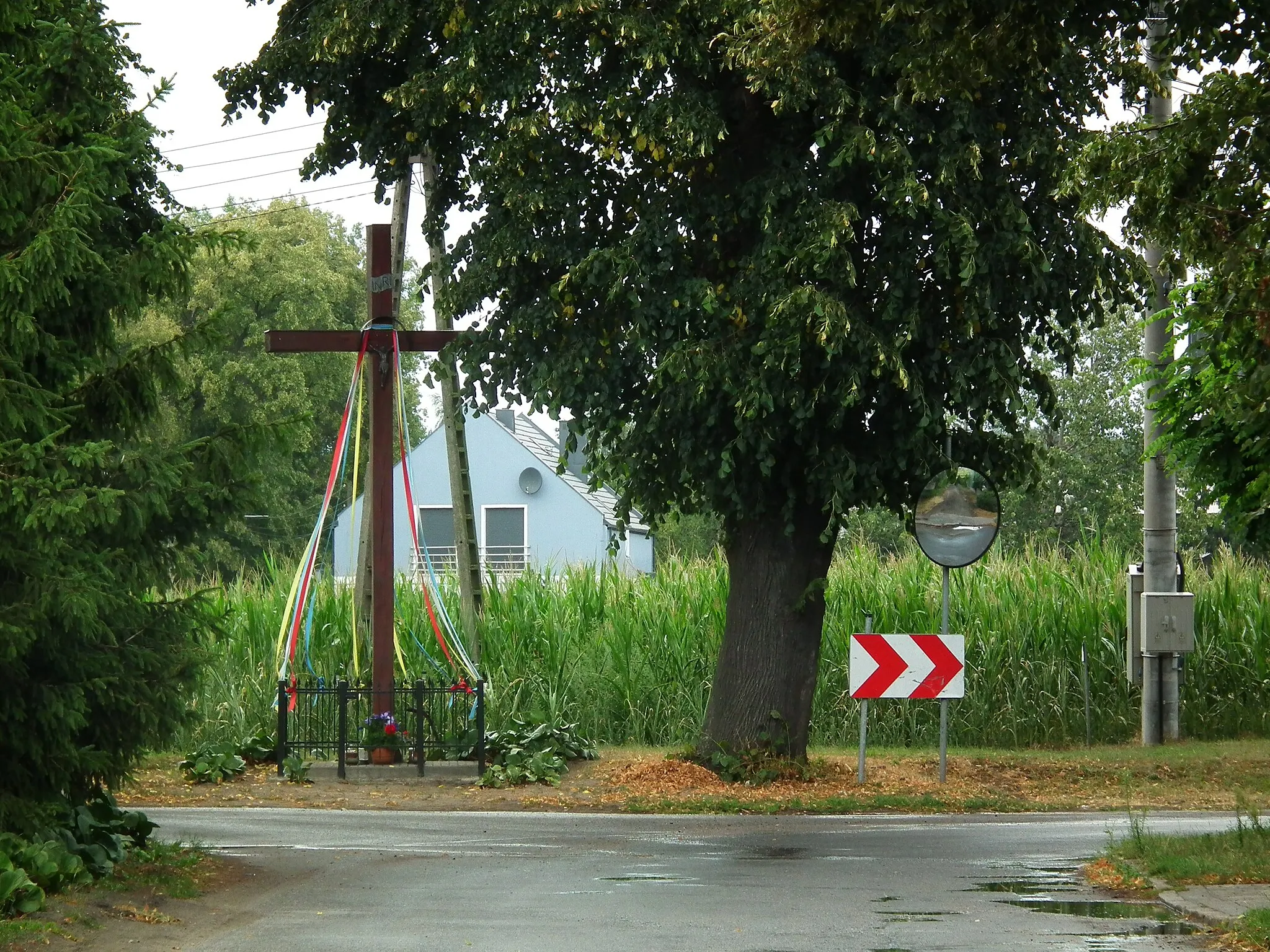 Photo showing: Kalwy - wieś w gm. Buk.