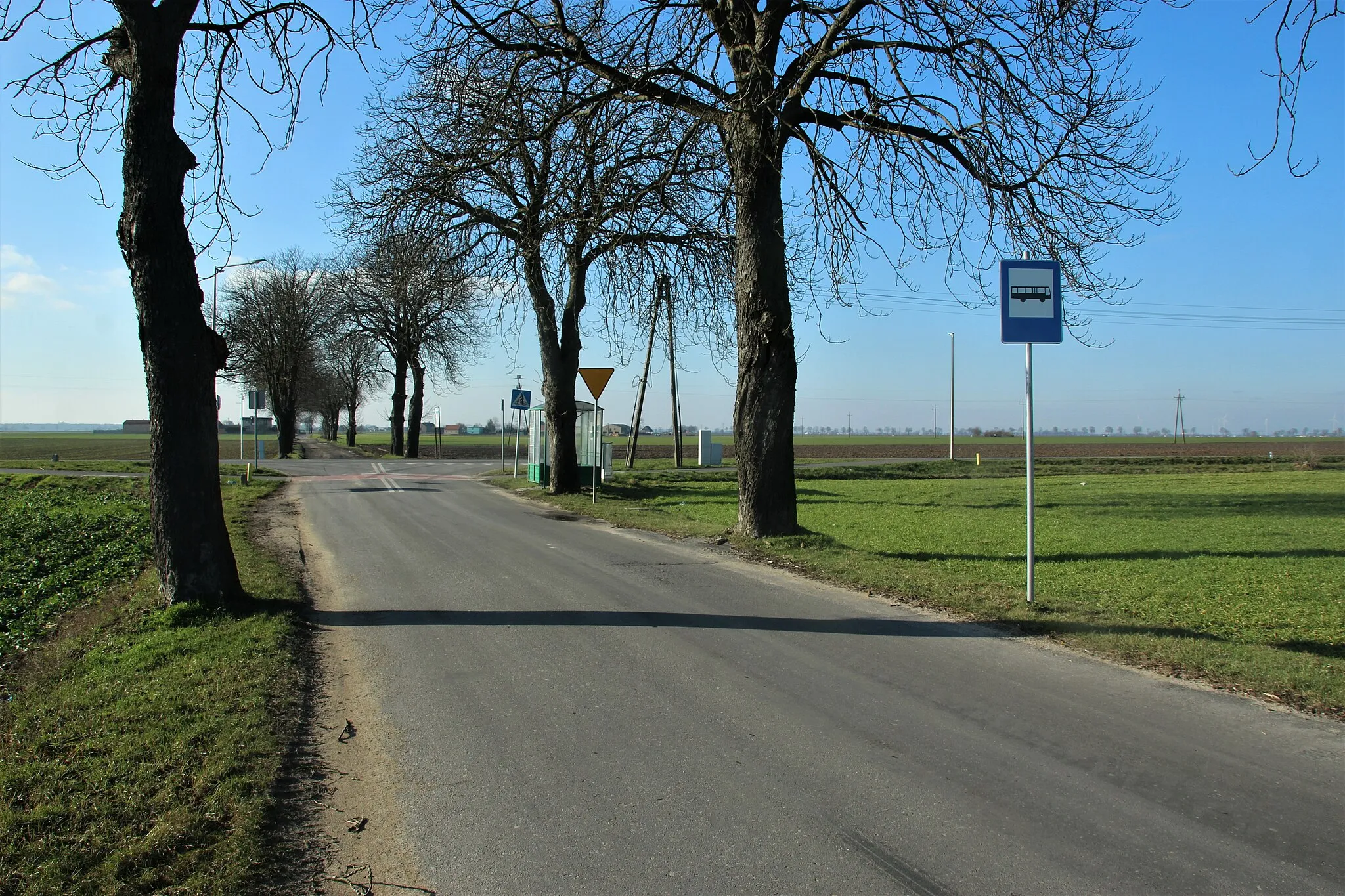 Photo showing: Przystanek autobusowy Dobieżyn, Przy Kasztanach