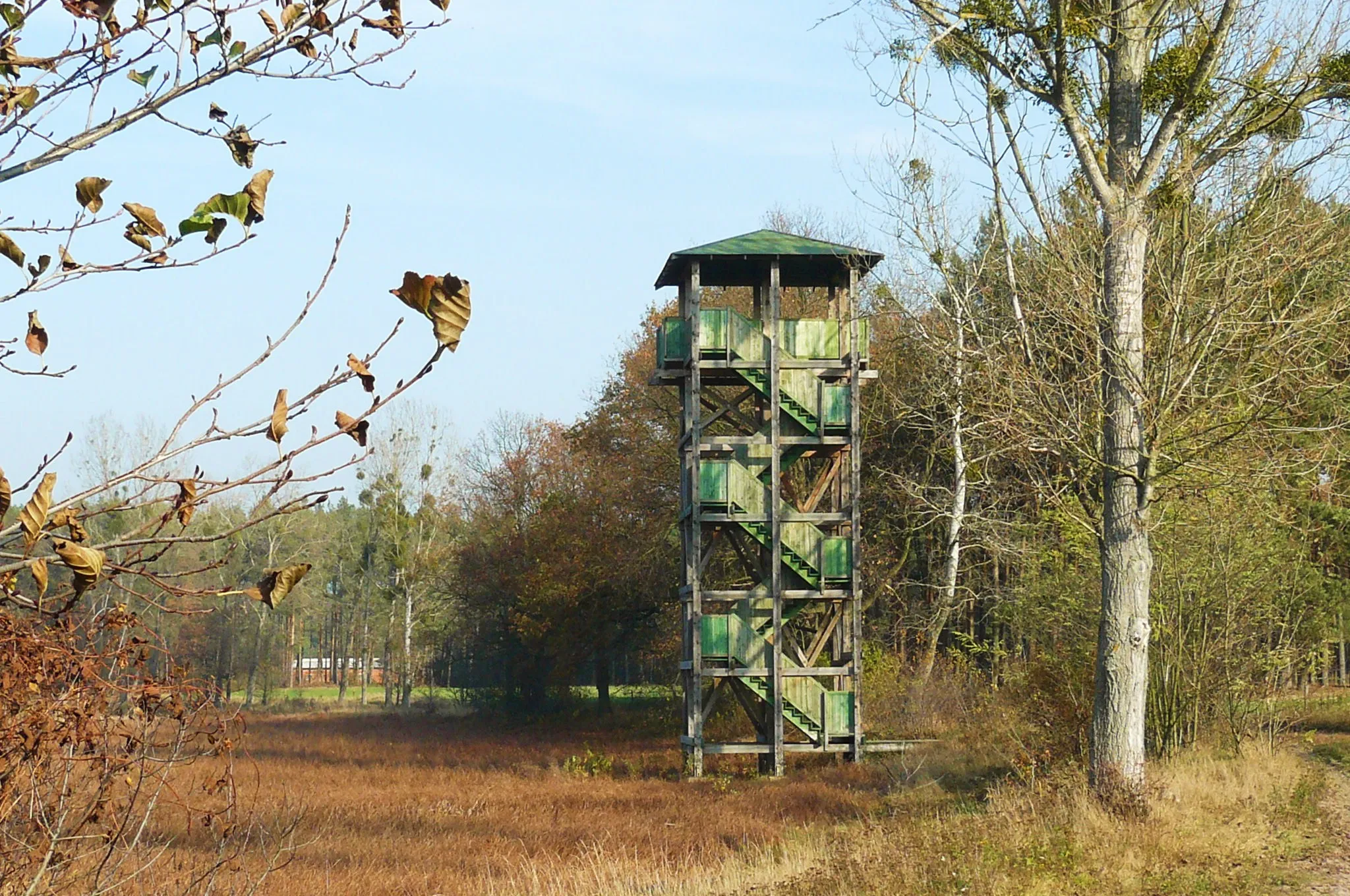 Photo showing: Czmoniec. Lookout Tower (oxbow lakes - Warta).
