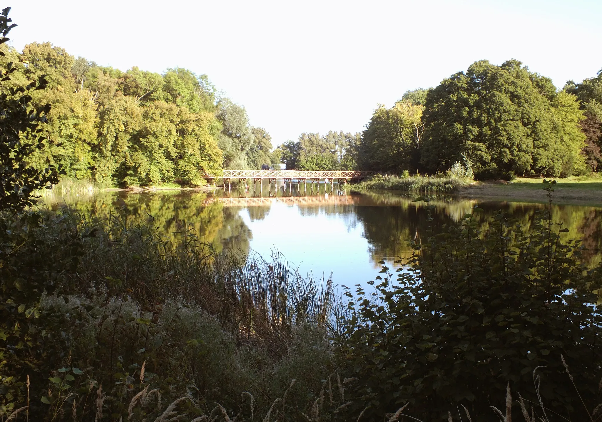 Photo showing: Czerniejewo, park w zespole pałacowym w Czerniejewie, staw Piła