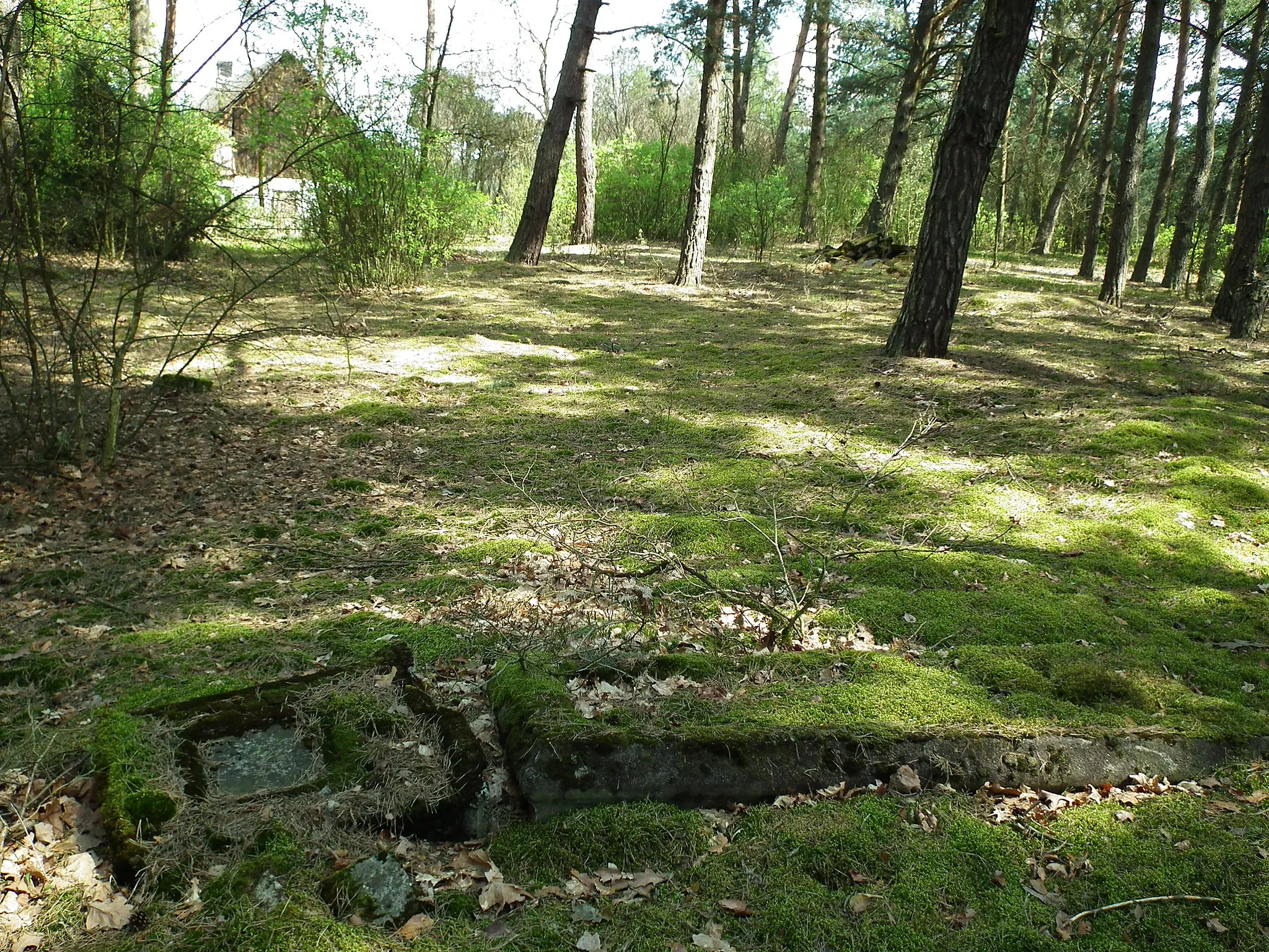 Photo showing: Cmentarz ewang. w Białobłotach.