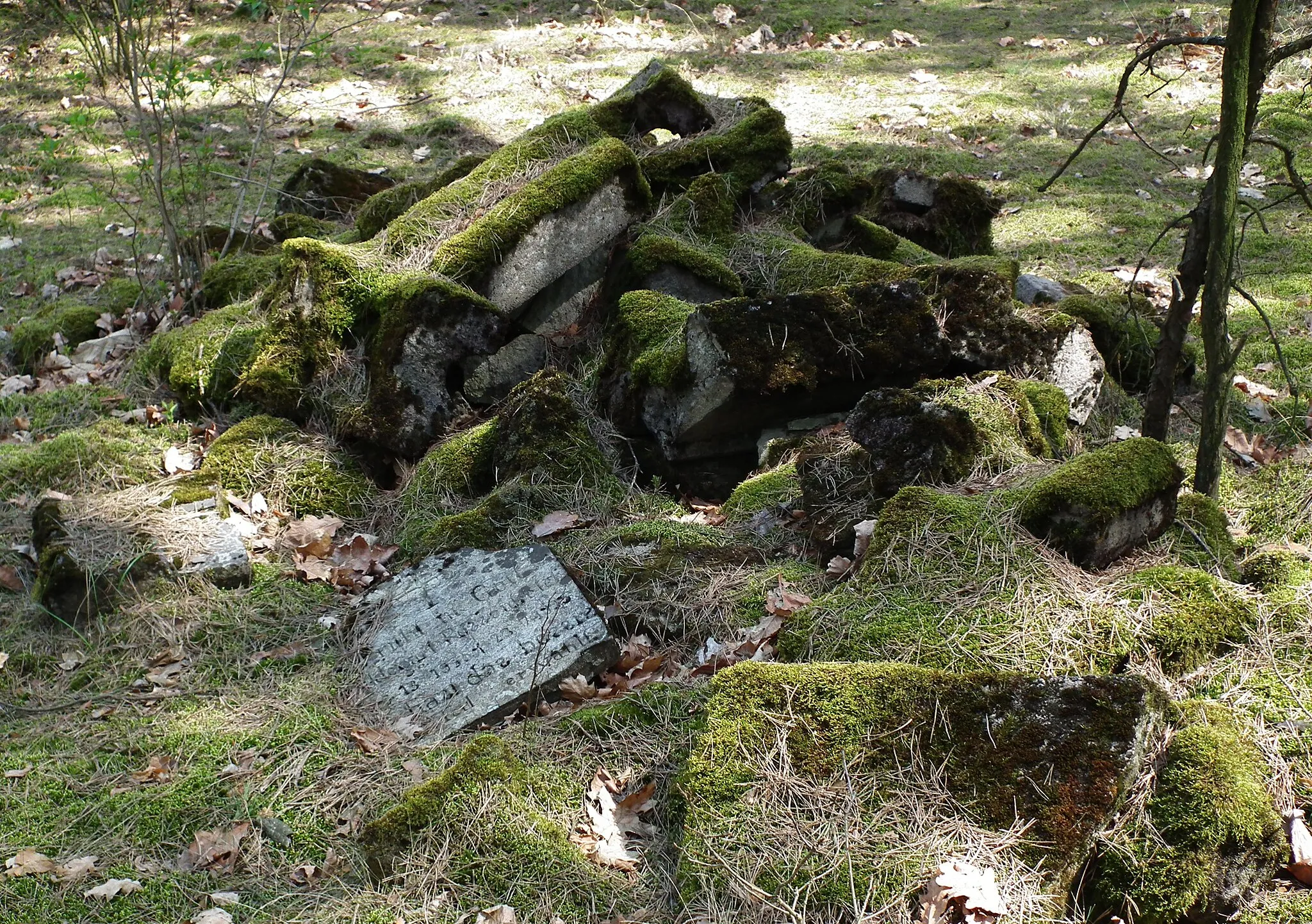 Photo showing: Cmentarz ewang. w Białobłotach.
