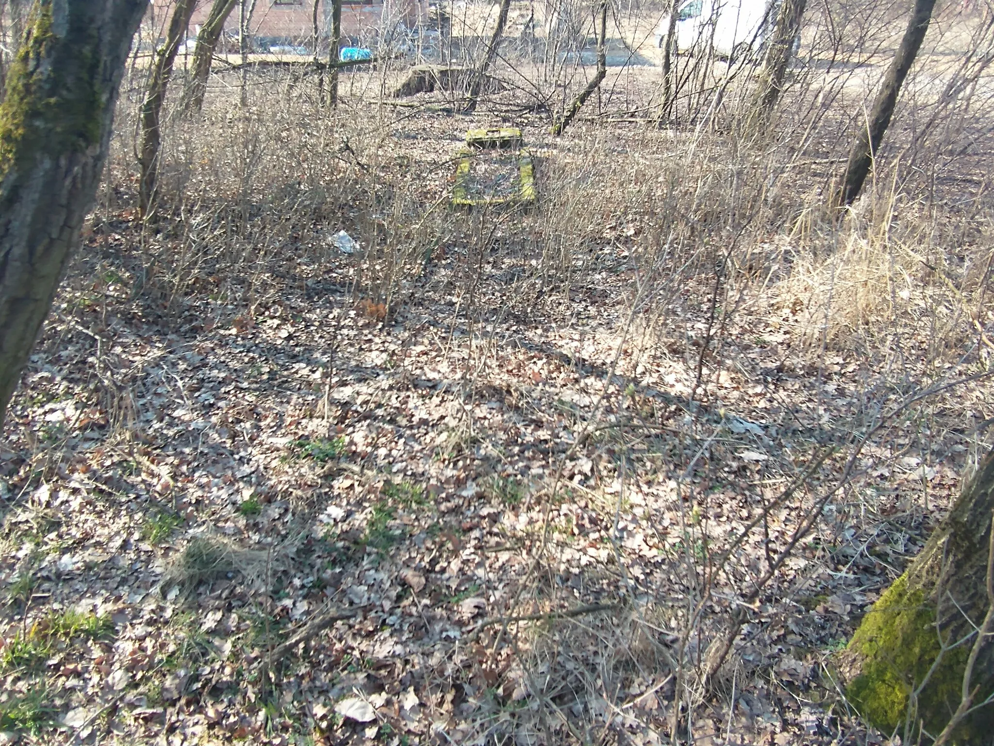 Photo showing: Cmentarz ewang. w Promnicach.