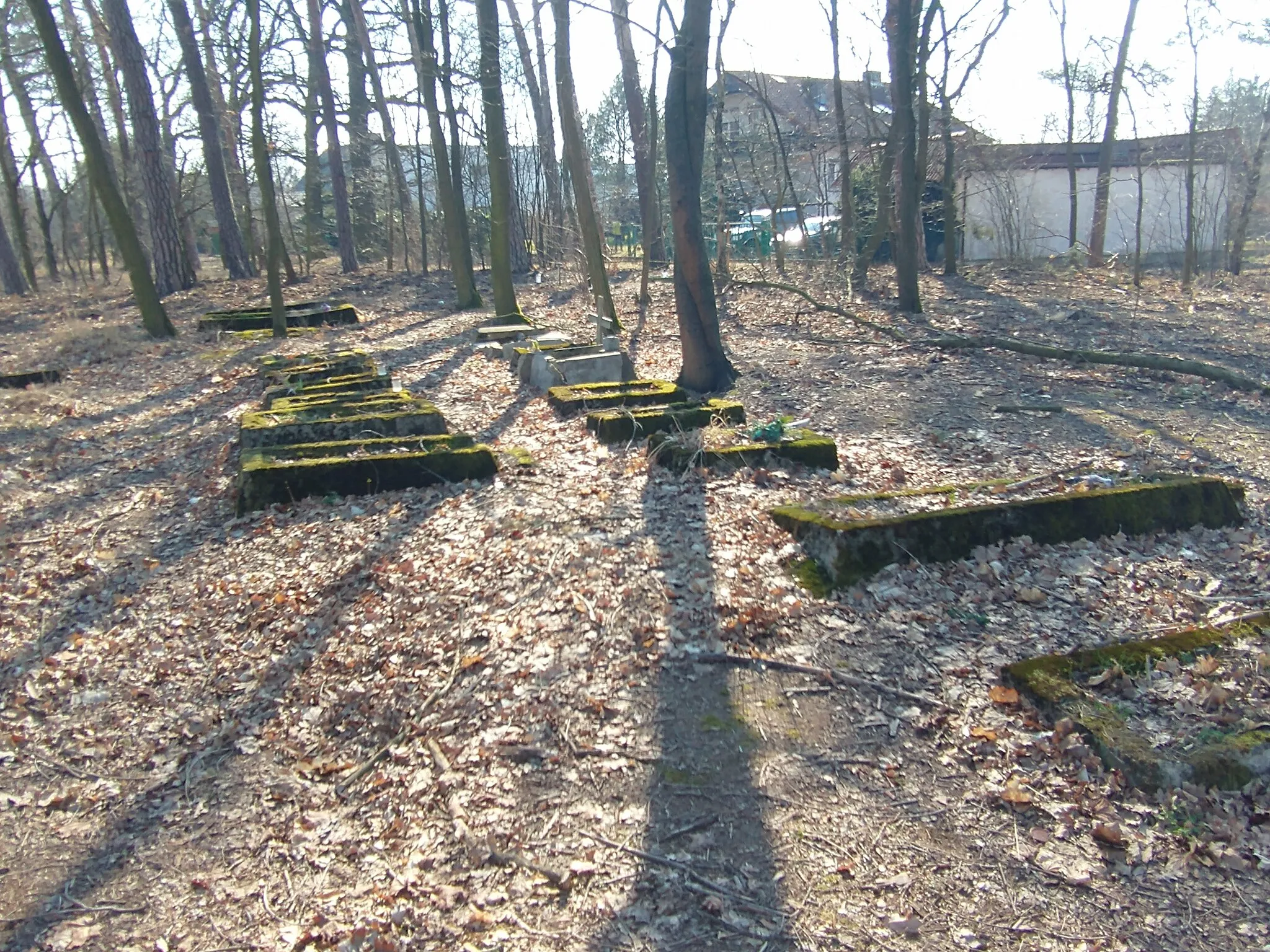 Photo showing: Cmentarz ewang. w Promnicach.