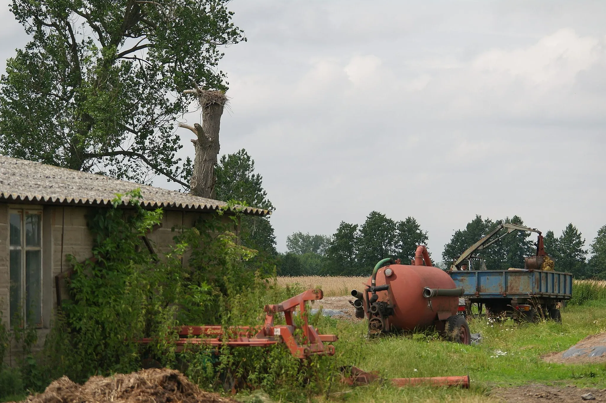 Photo showing: Gniazdo bociana białego w gminie Goszczanów