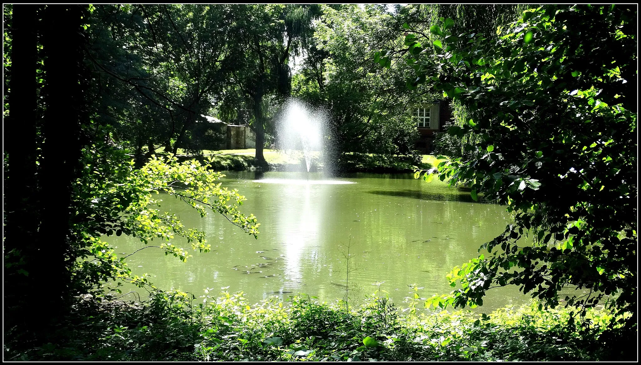 Photo showing: Wijewo park from the late nineteenth / twentieth century .. gm. Wijewo / pow. Leszno / province. Greater.