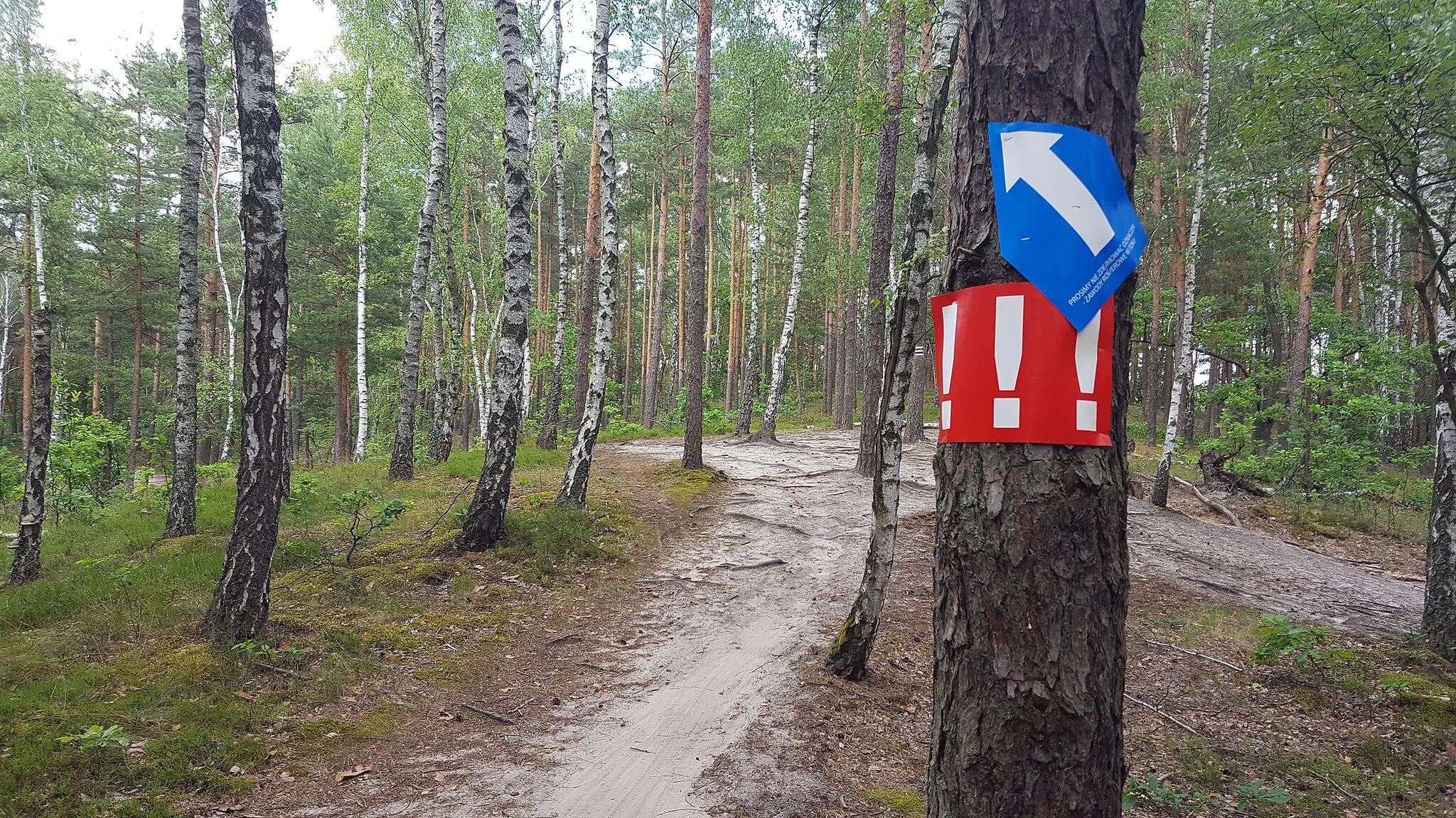 Photo showing: bike race sign