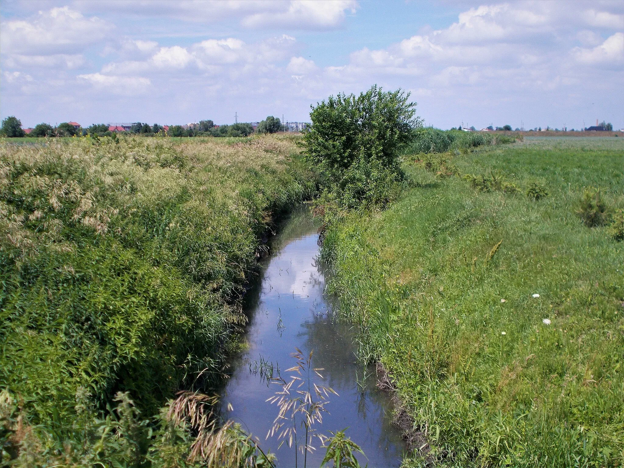 Photo showing: Lipówka (dopływ Prosny), Mączniki