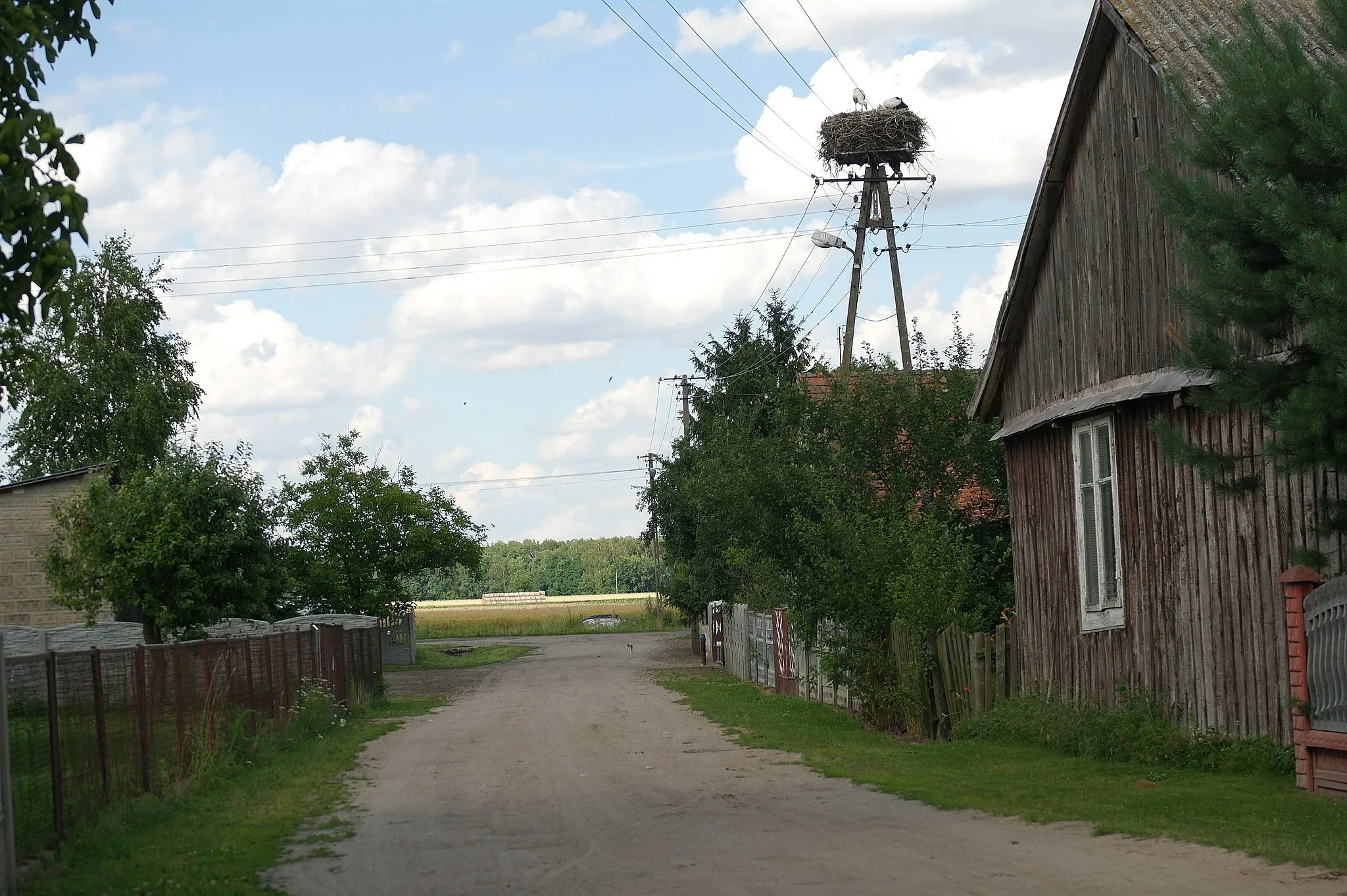 Photo showing: Gniazdo bociana białego w gminie Goszczanów