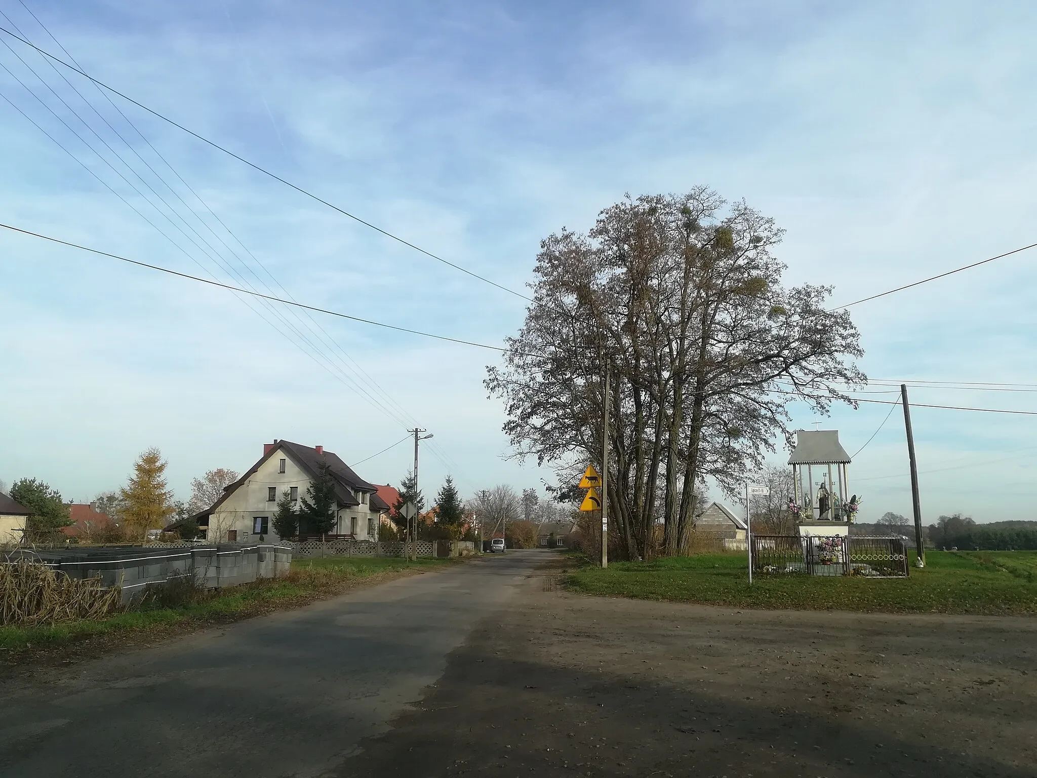 Photo showing: Lipicze (gmina Goszczanów).