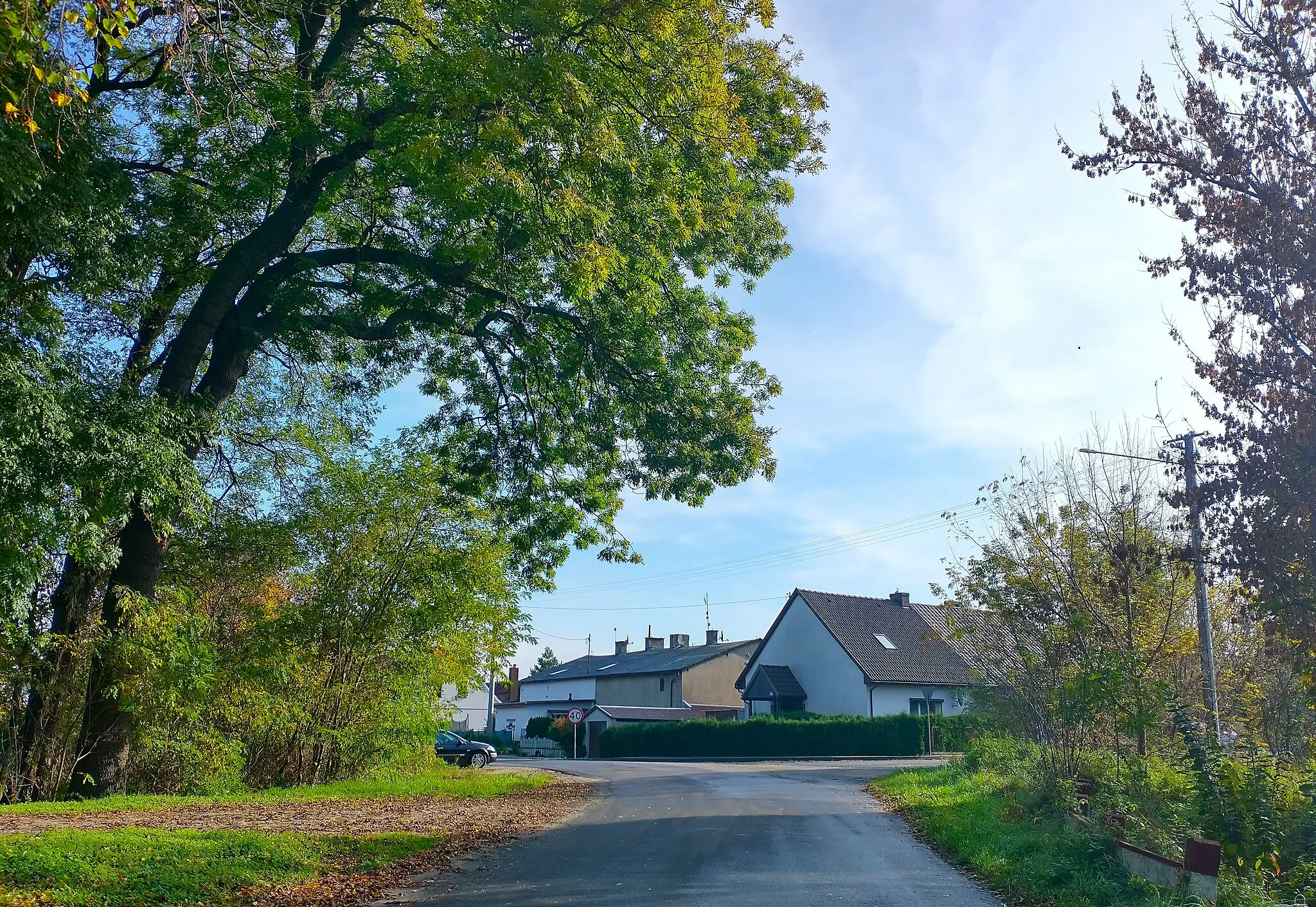 Photo showing: Bojanice, powiat leszczyński.