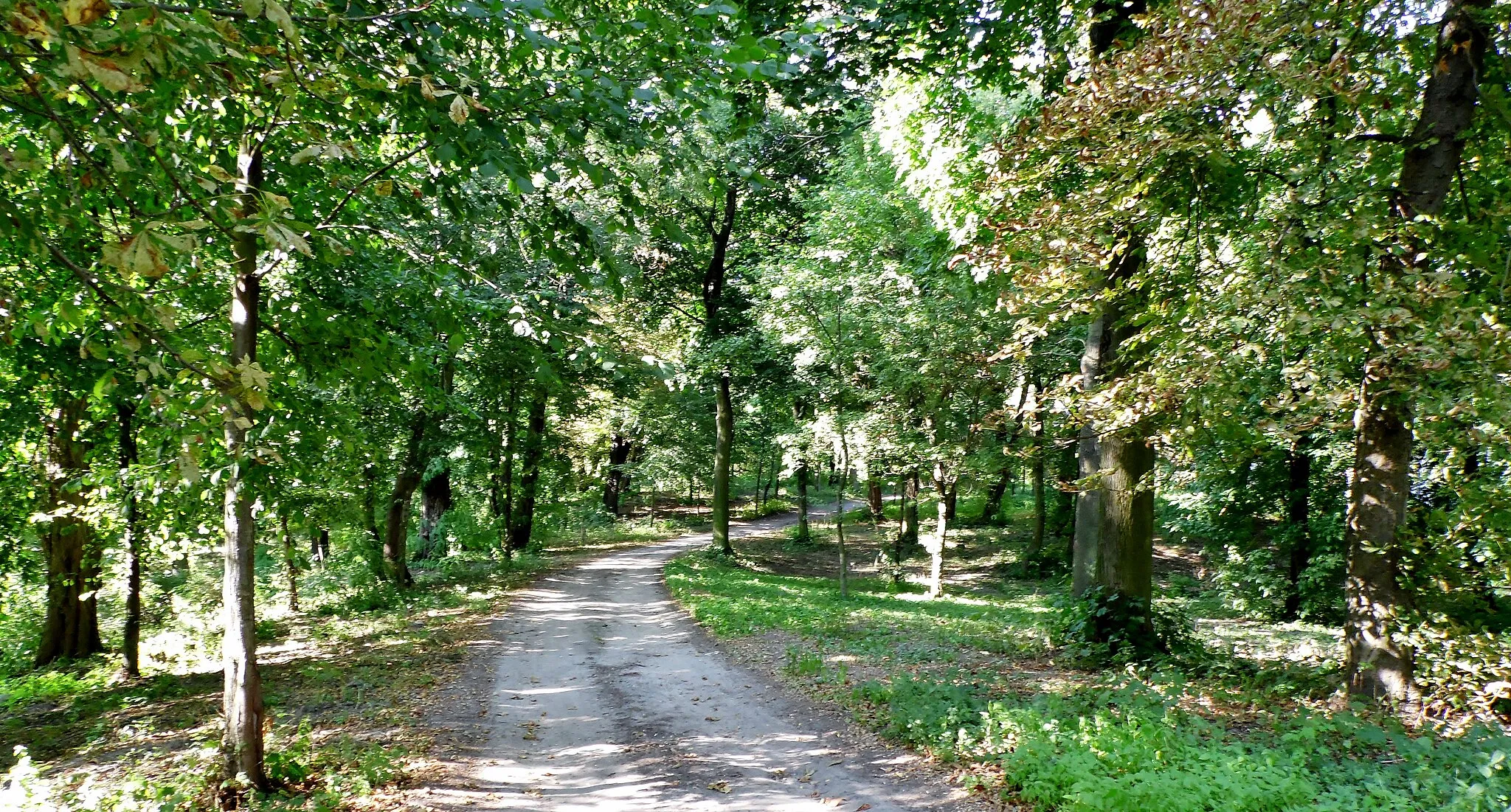 Photo showing: Park Manor of 1 mid-nineteenth century Bojanic / Leszno district / province. Greater Poland / Poland