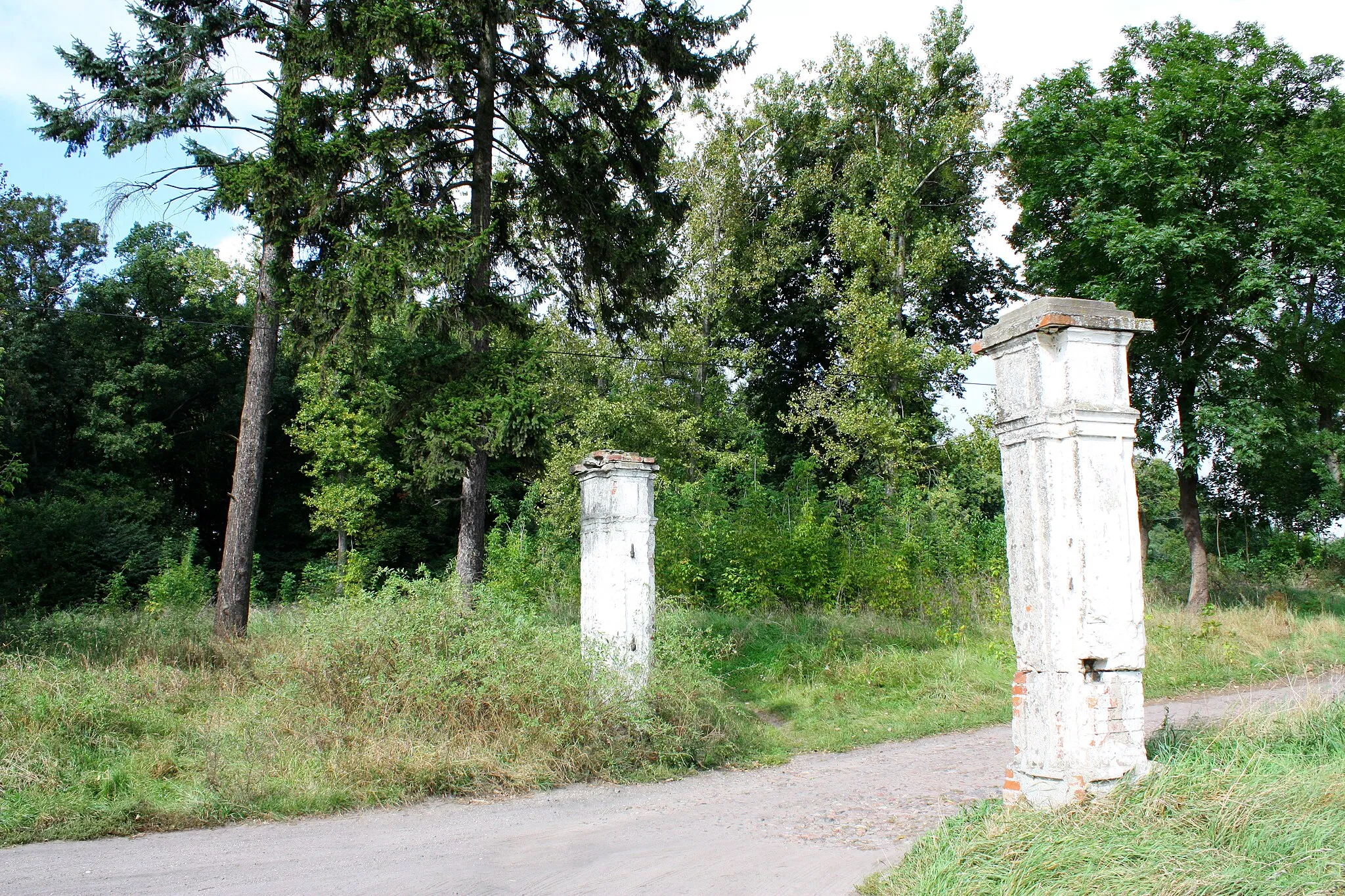 Photo showing: Park dworski z początku XX w.
Nieczajna, Oborniki
