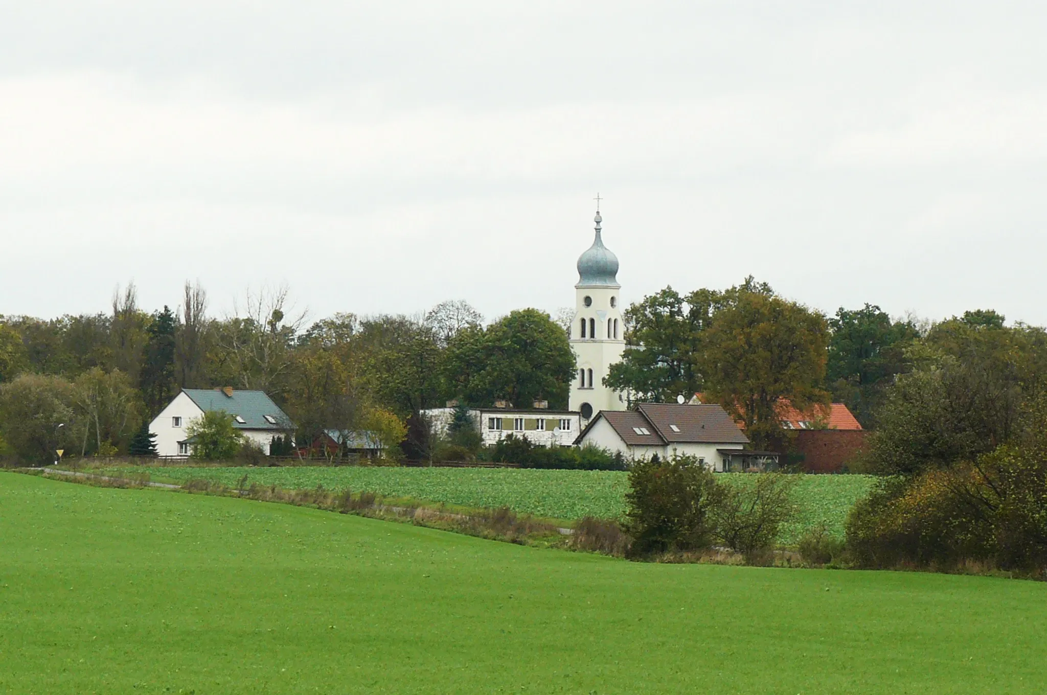 Photo showing: Widok na Żydowo w gm. Rokietnica od południa.