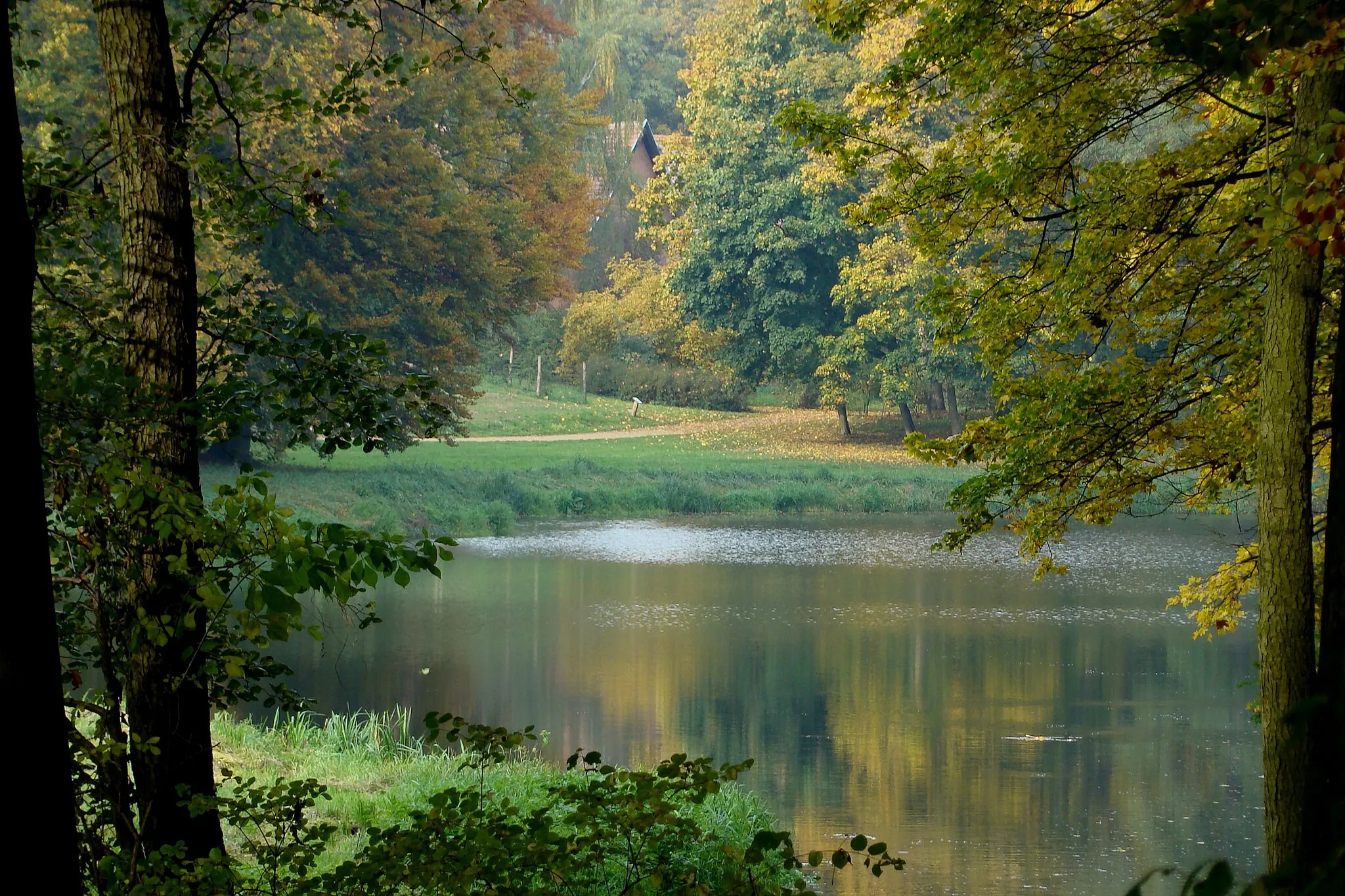 Photo showing: GOŁUCHÓW JESIEŃ 08r. park 37