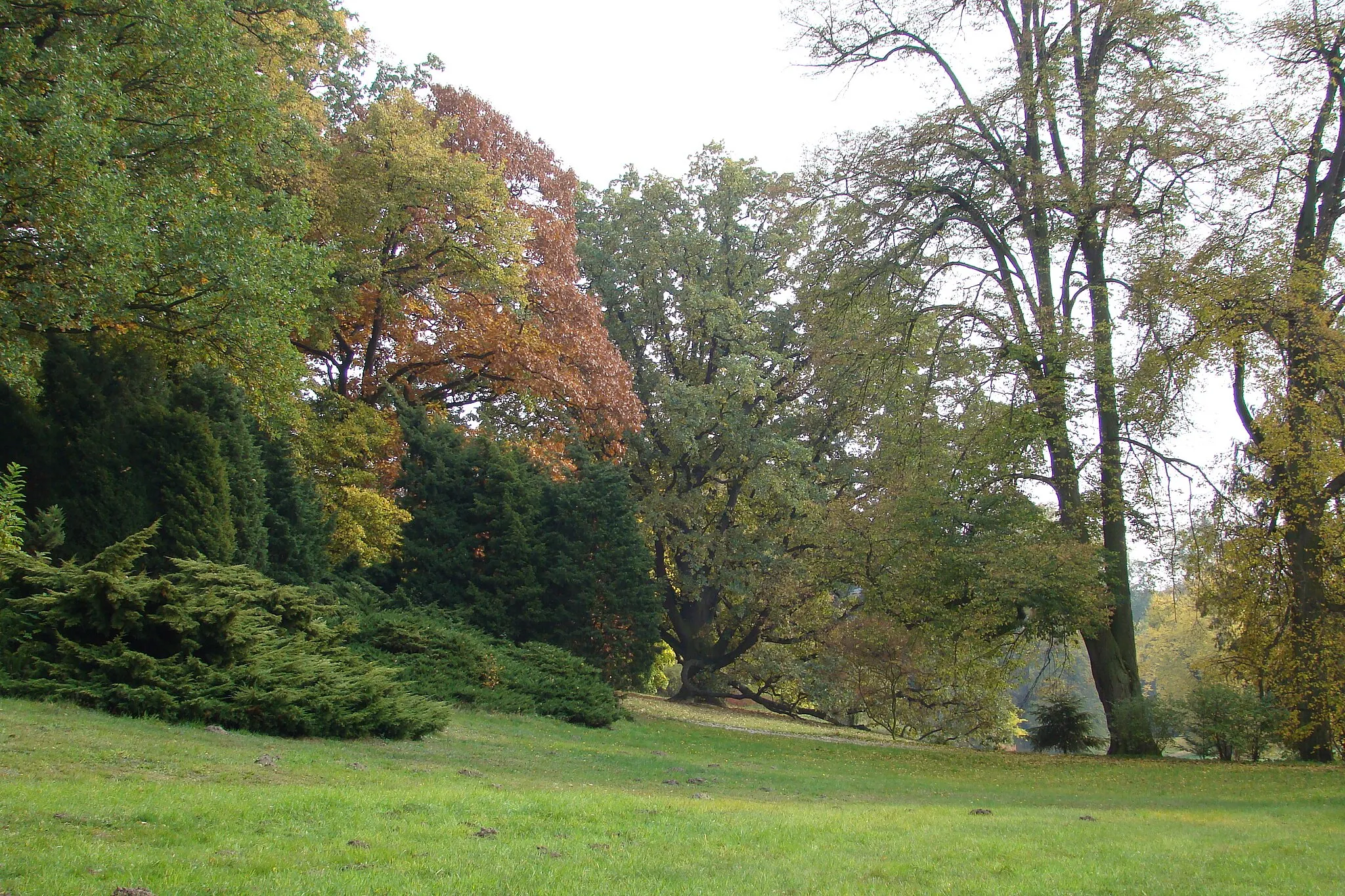 Photo showing: GOŁUCHÓW JESIEŃ 08r. park 40