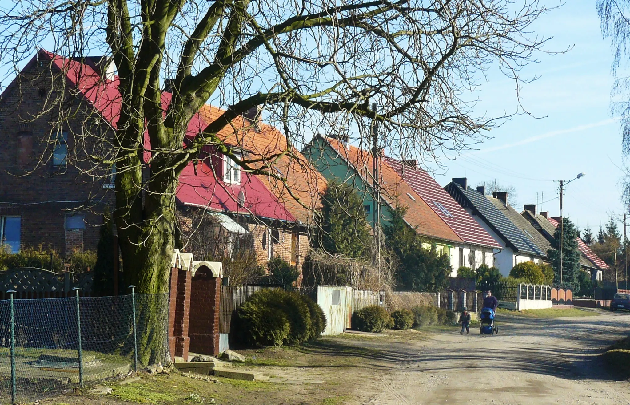Photo showing: Samołęż - część nadjeziorna.