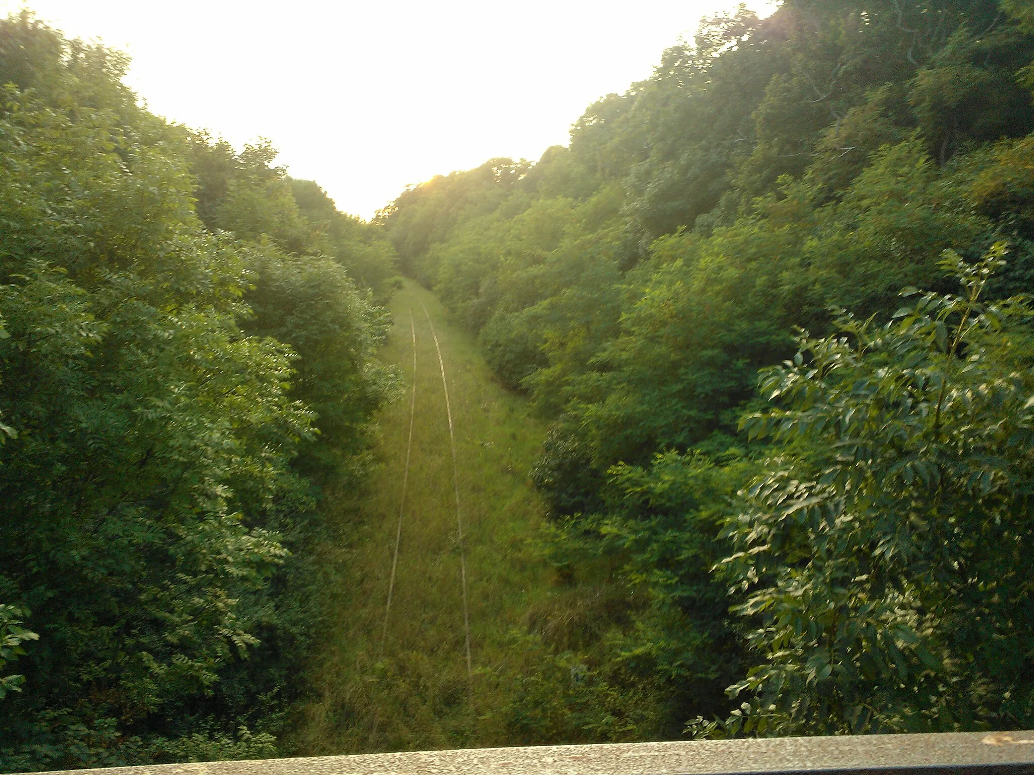 Photo showing: Dobrojewo, wiadukt na torami kolejowymi na nieczynnej linii do Międzychodu