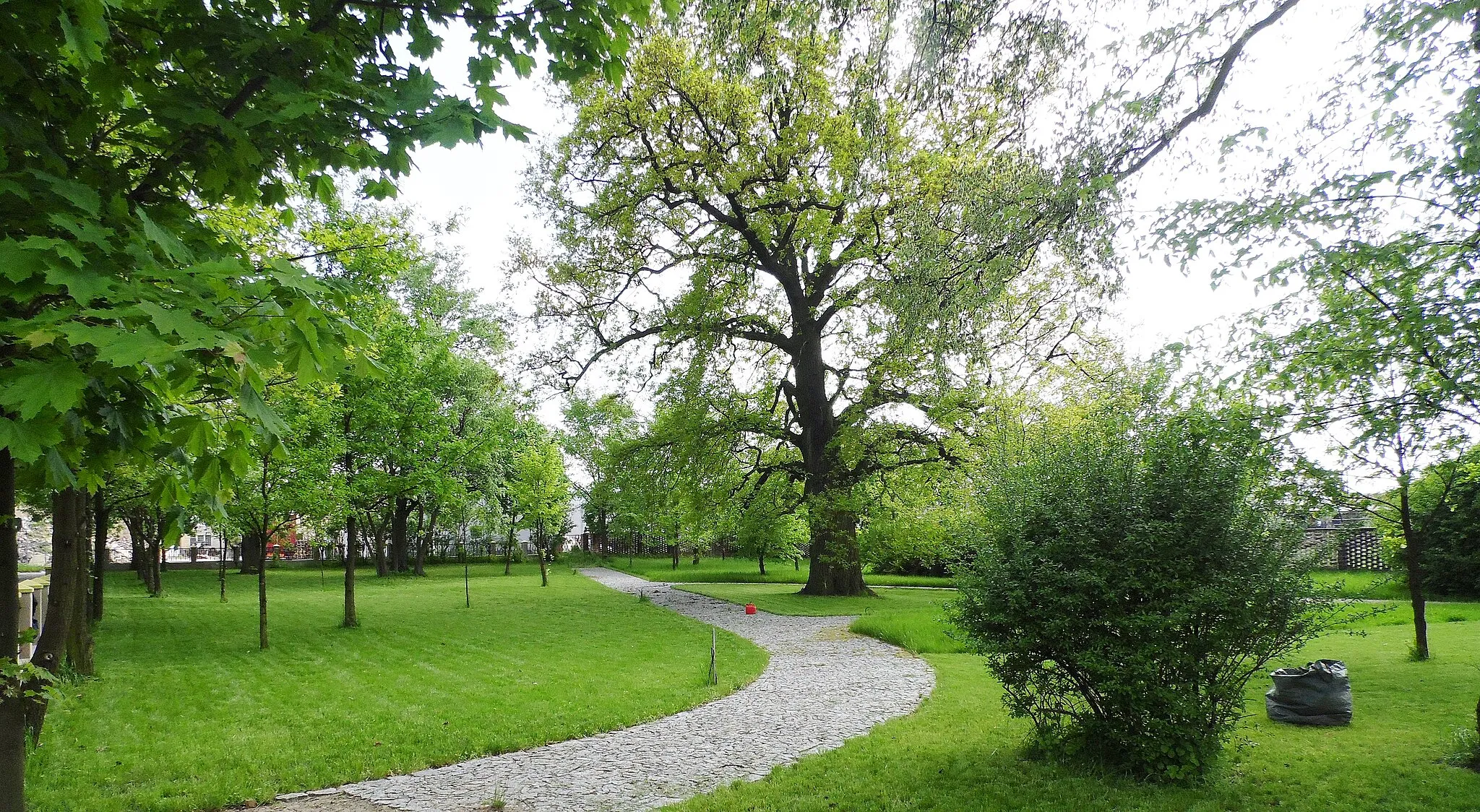 Photo showing: Park 2 mid-nineteenth century Dobramyśl / area. Leszno / province. Greater Poland / Poland