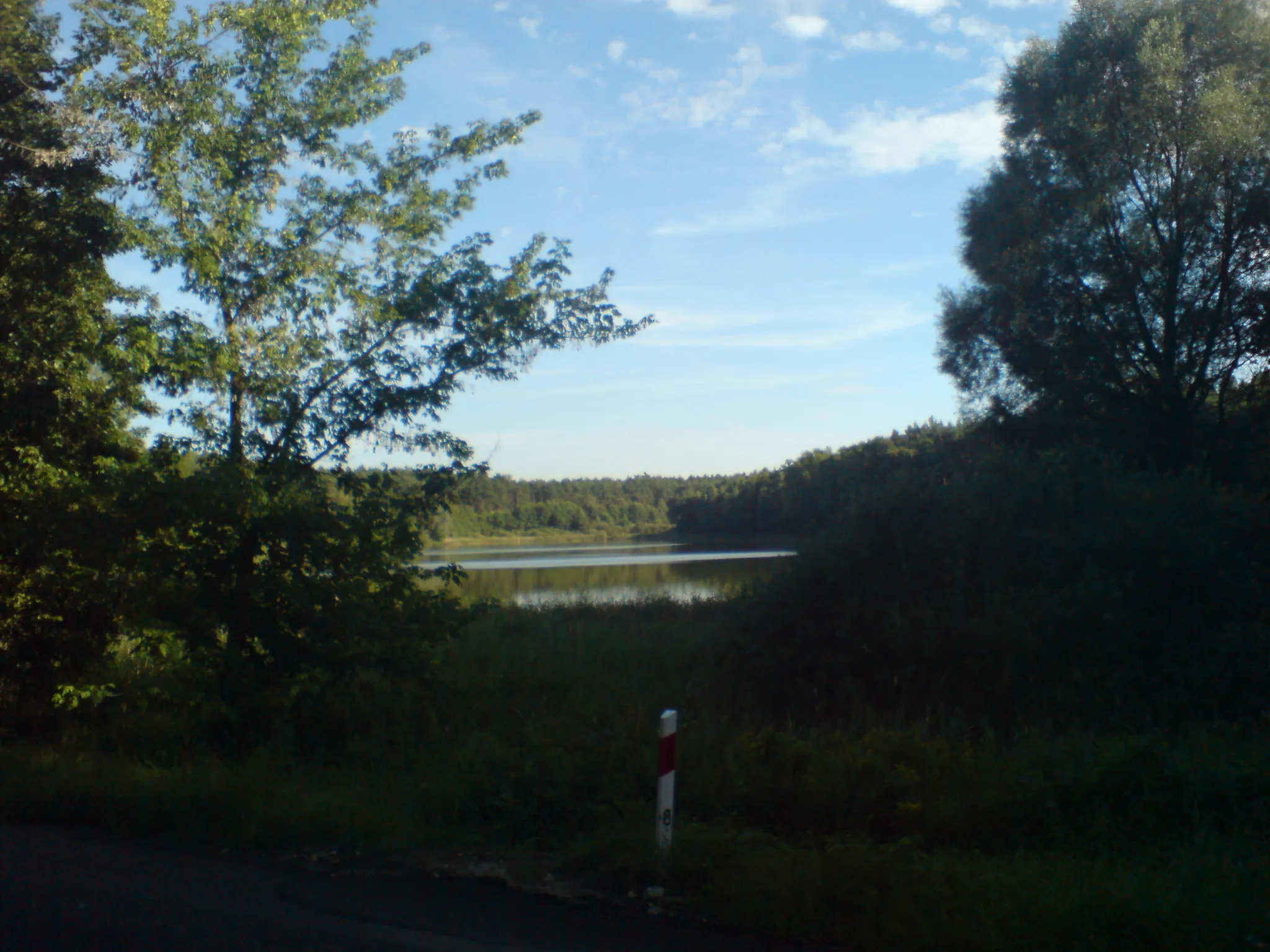 Photo showing: Jezioro Godziszewskie w pobliżu Lesionek