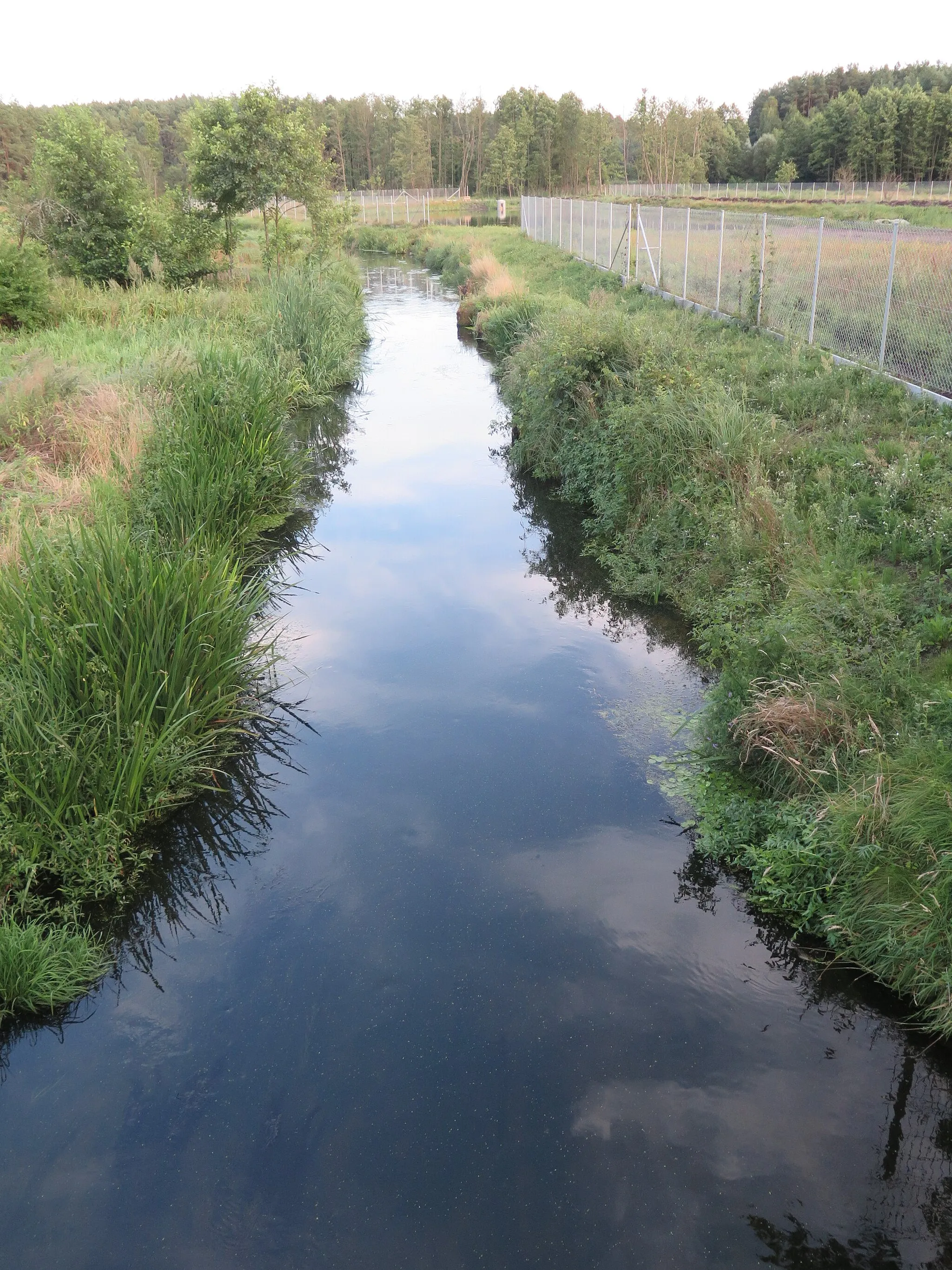 Photo showing: The Miałka river in Marylin, Poland