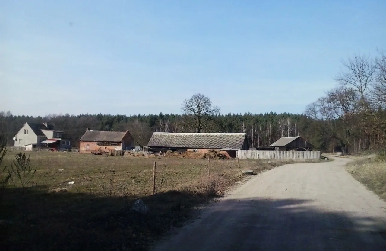 Photo showing: Drzewce w gm. Międzychód.