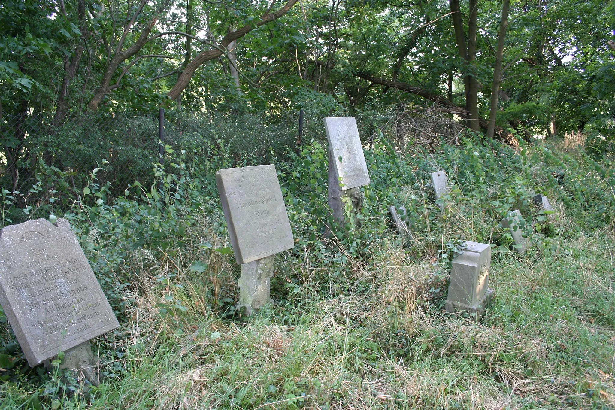 Photo showing: Polski Cmentarz Kalwiński z XIX wieku i lapidarium rzeźby nagrobnej