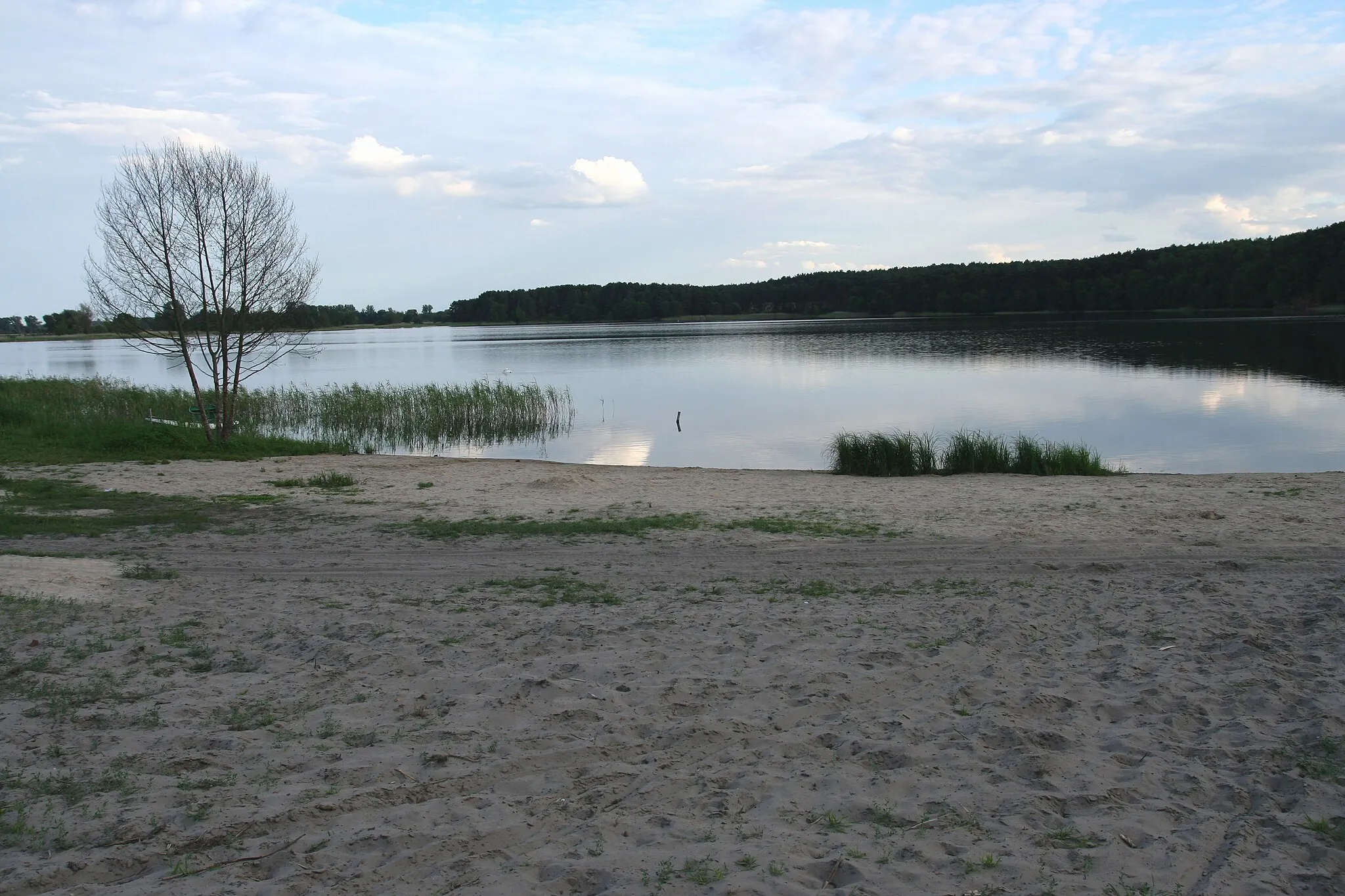 Photo showing: Radgoszcz lake in Radgoszcz village