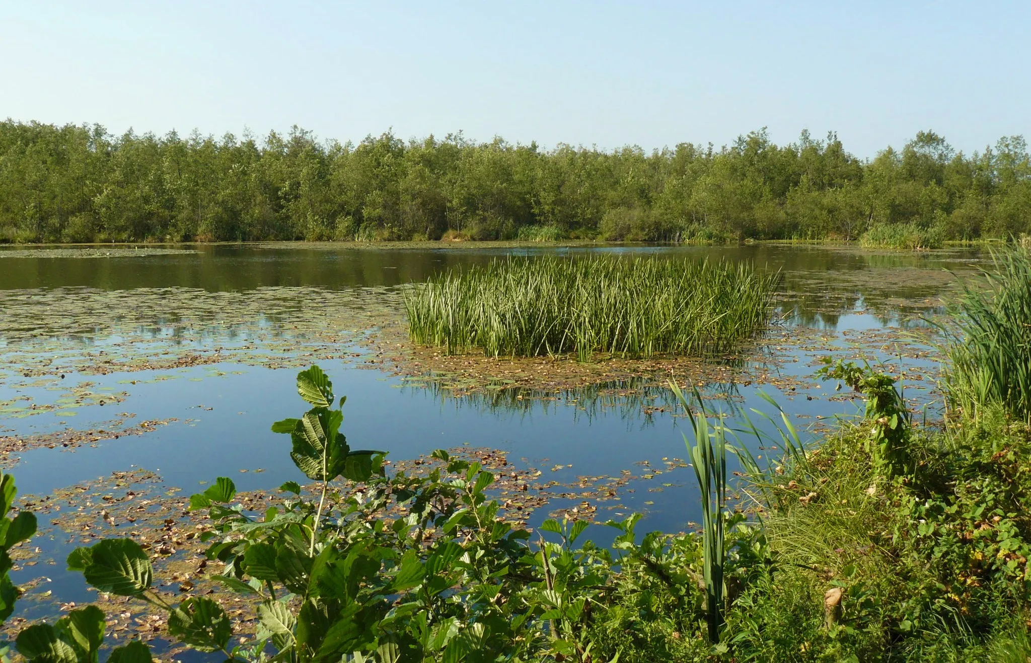 Photo showing: Jezioro w Sękowie.