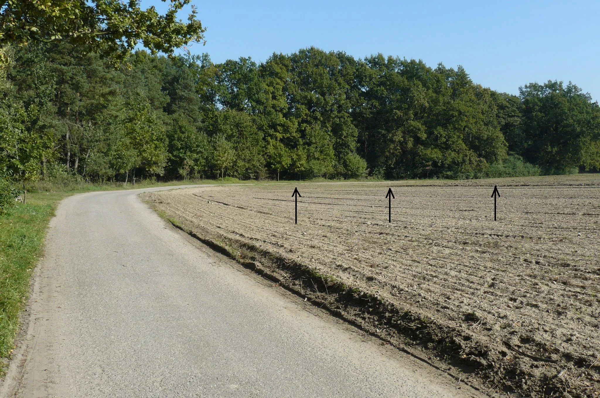 Photo showing: Gugulec nature reserve, PL.