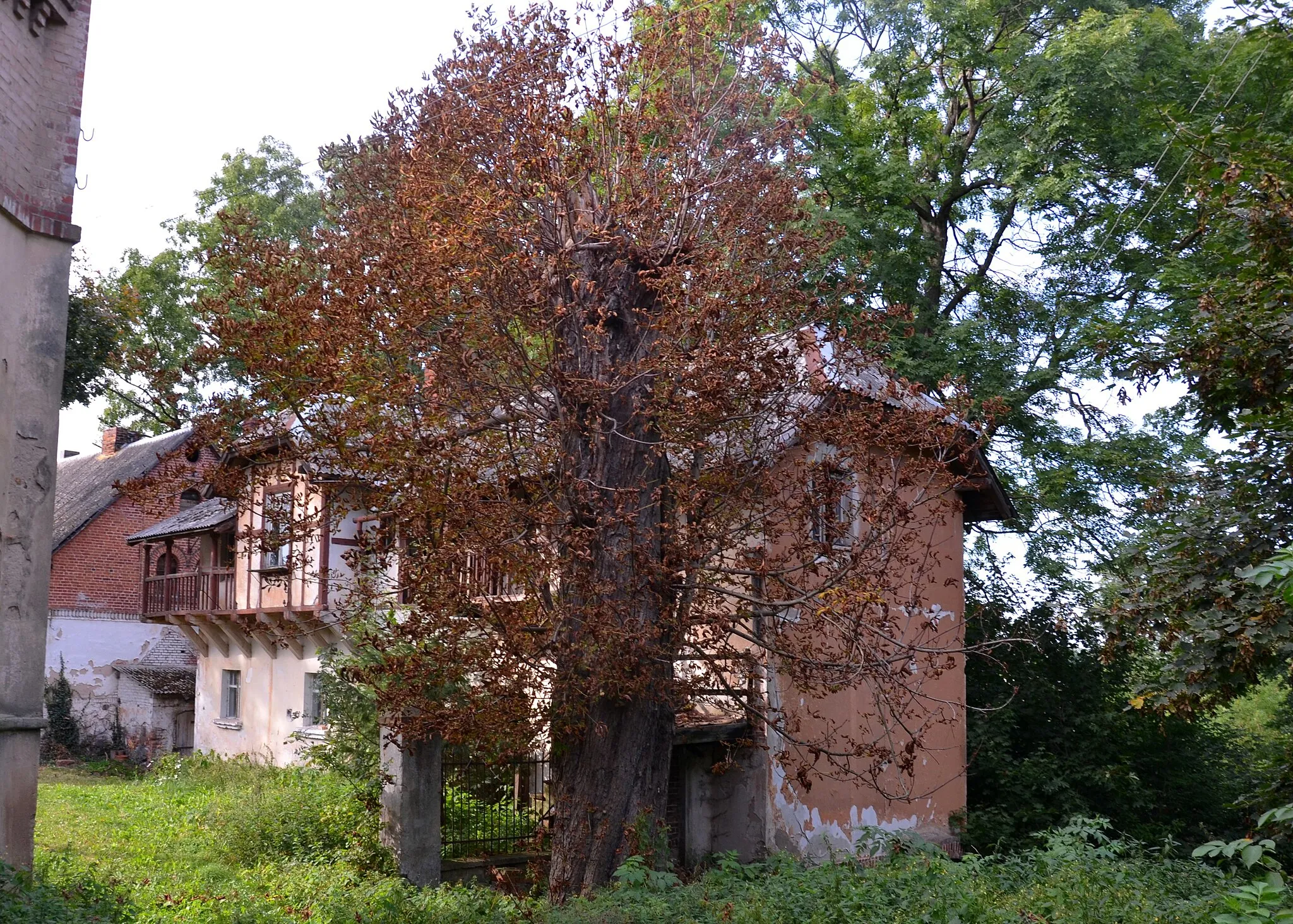 Photo showing: This is a photo of a monument in Poland identified in WLM database by the ID