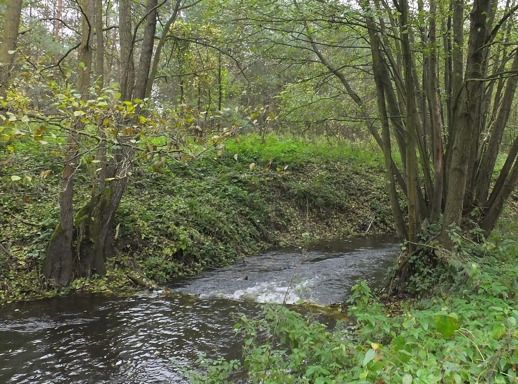 Photo showing: Hydromorphological elements of river water body assessment - riffle with rippled type of flow and broken standing waves