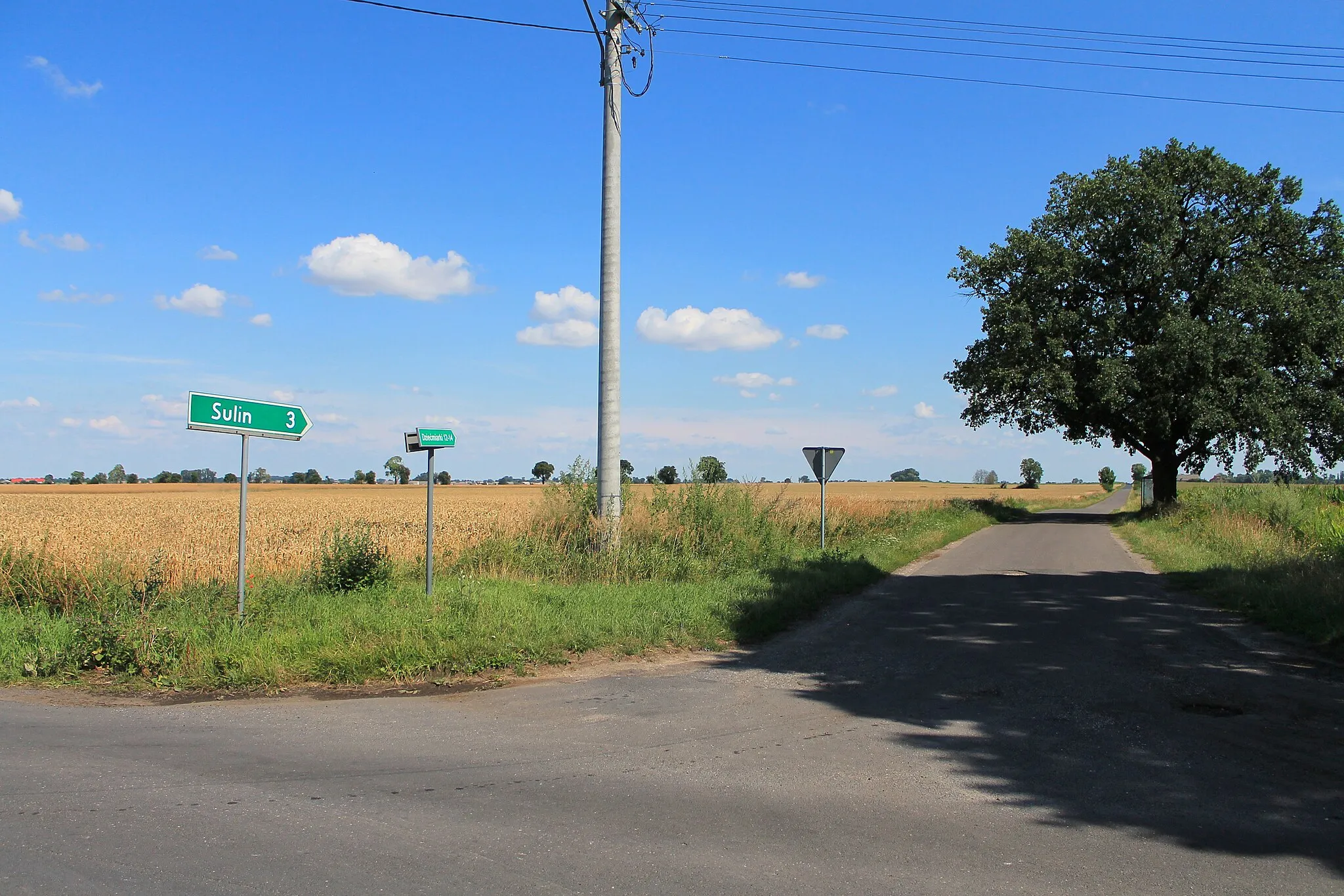 Photo showing: Dziećmiarki, gmina Kłecko, droga w kierunku Sulina.