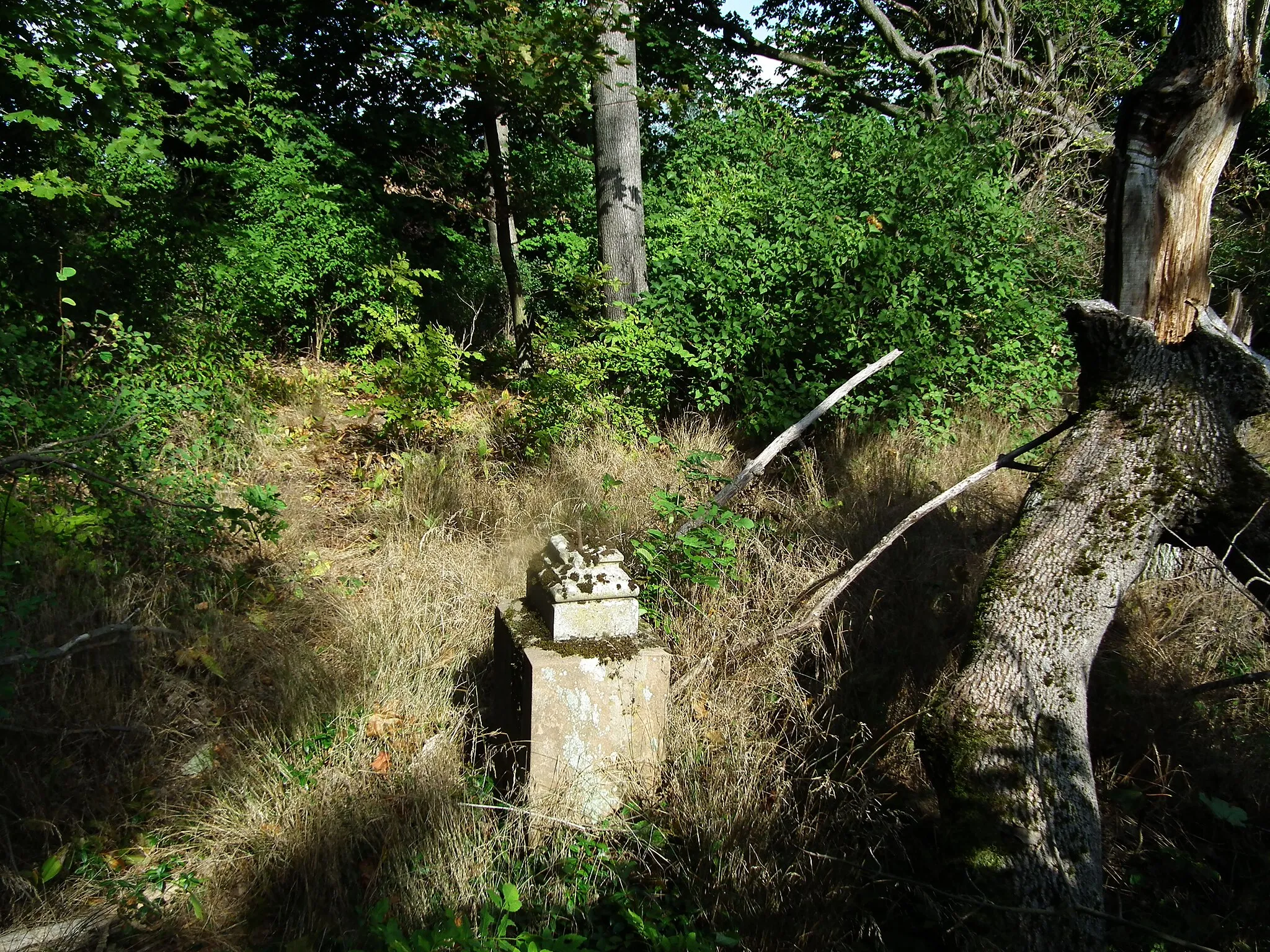 Photo showing: Resztki cmentarza ewangelickiego w Głębocku - pow. poznański.