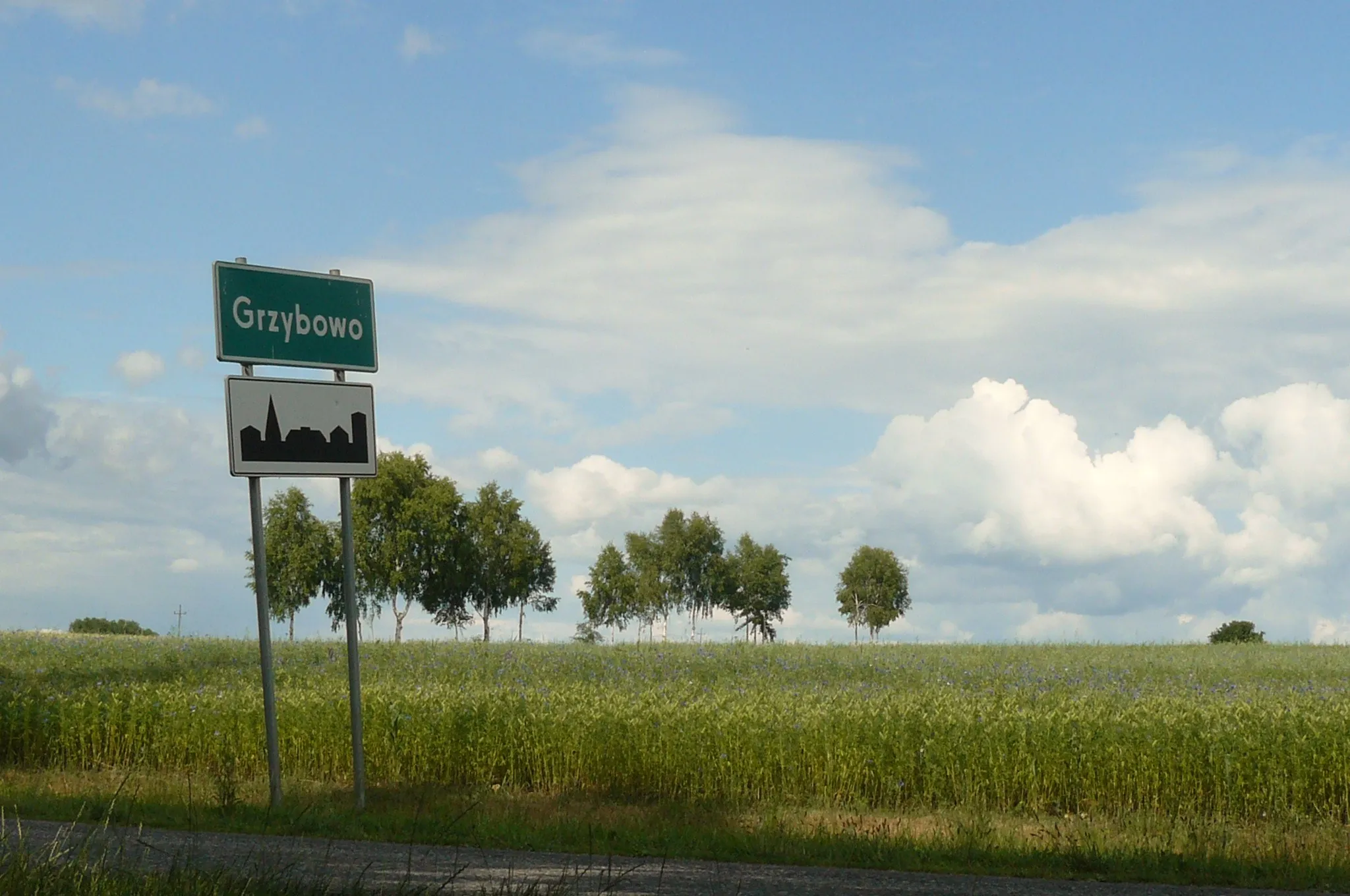 Photo showing: Grzybowo w gm. Skoki - krajobraz.
