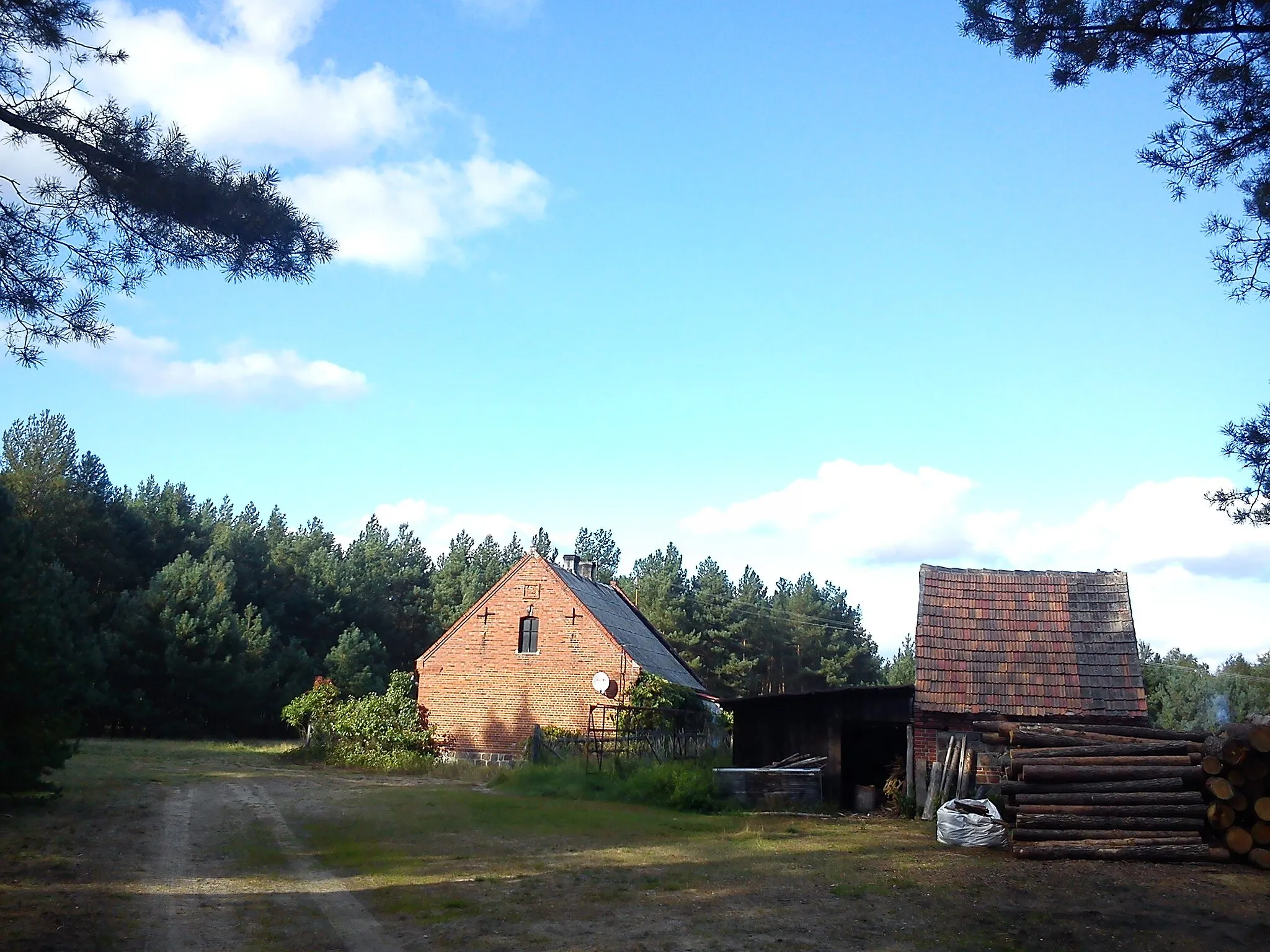 Photo showing: Okolice wsi Huciska w Puszczy Zielonce.