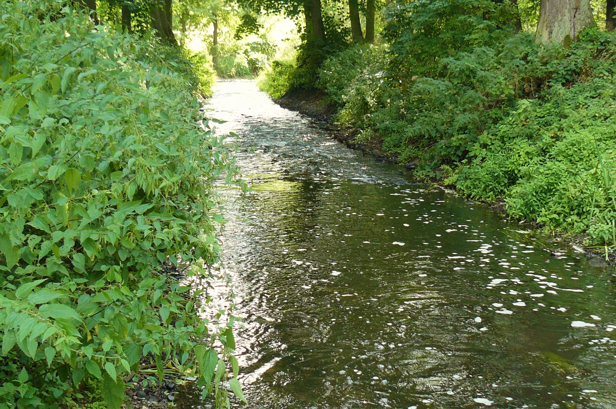 Photo showing: Wełna w Jaraczu Młynie.