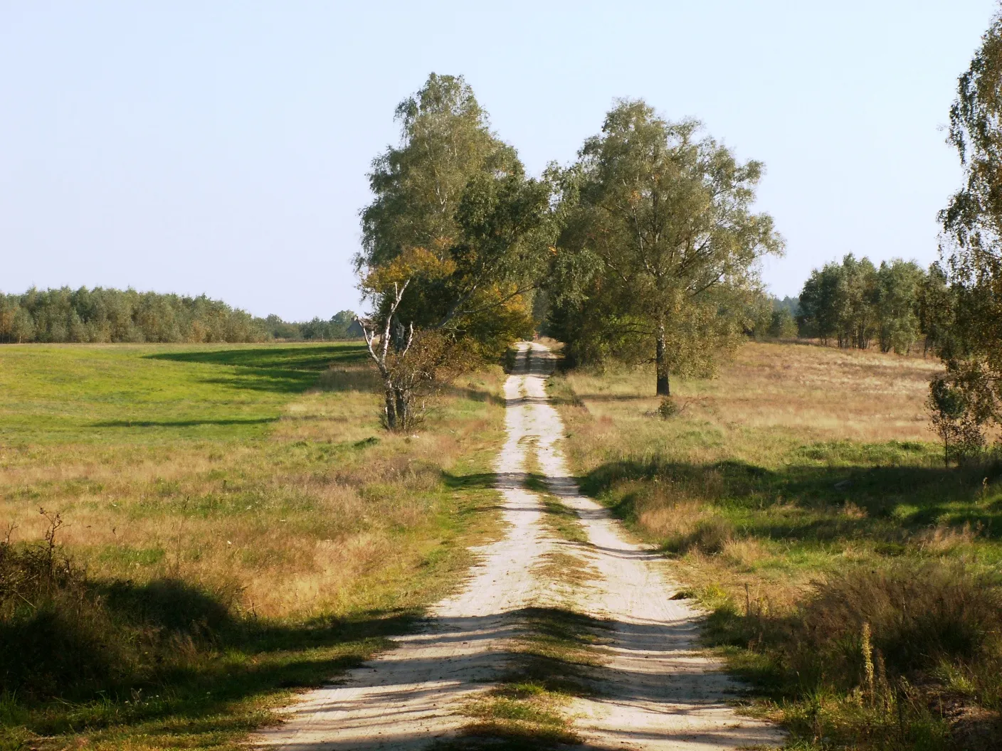 Photo showing: droga do...   Łaska