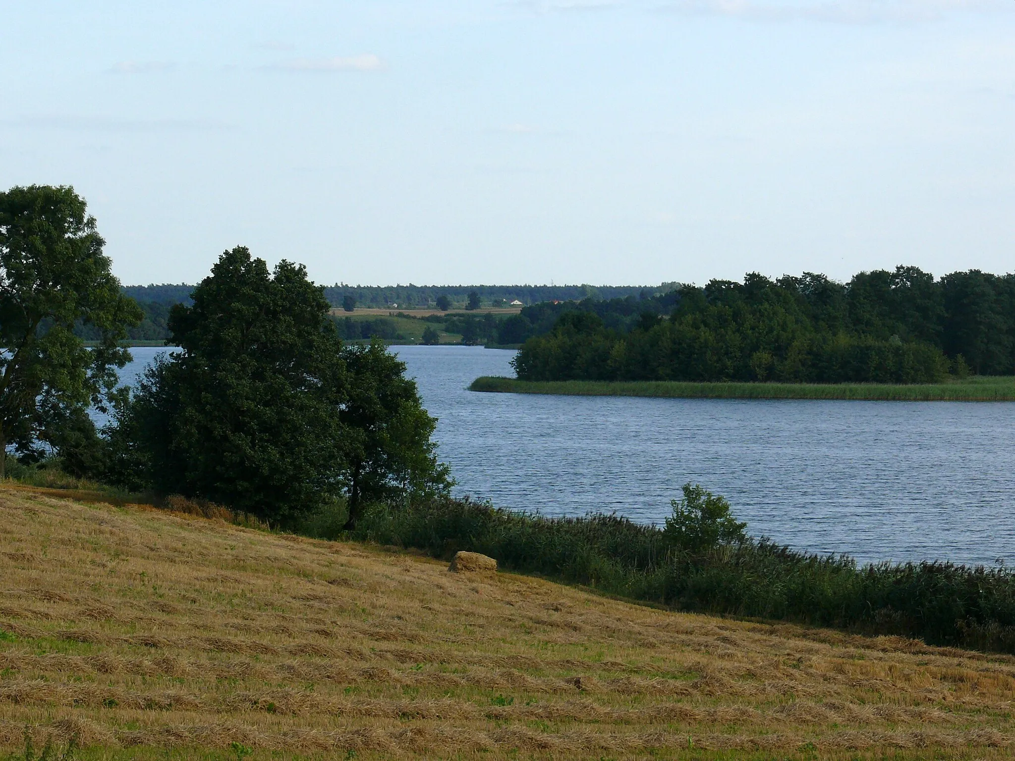 Photo showing: Jezioro Lubotyńskie