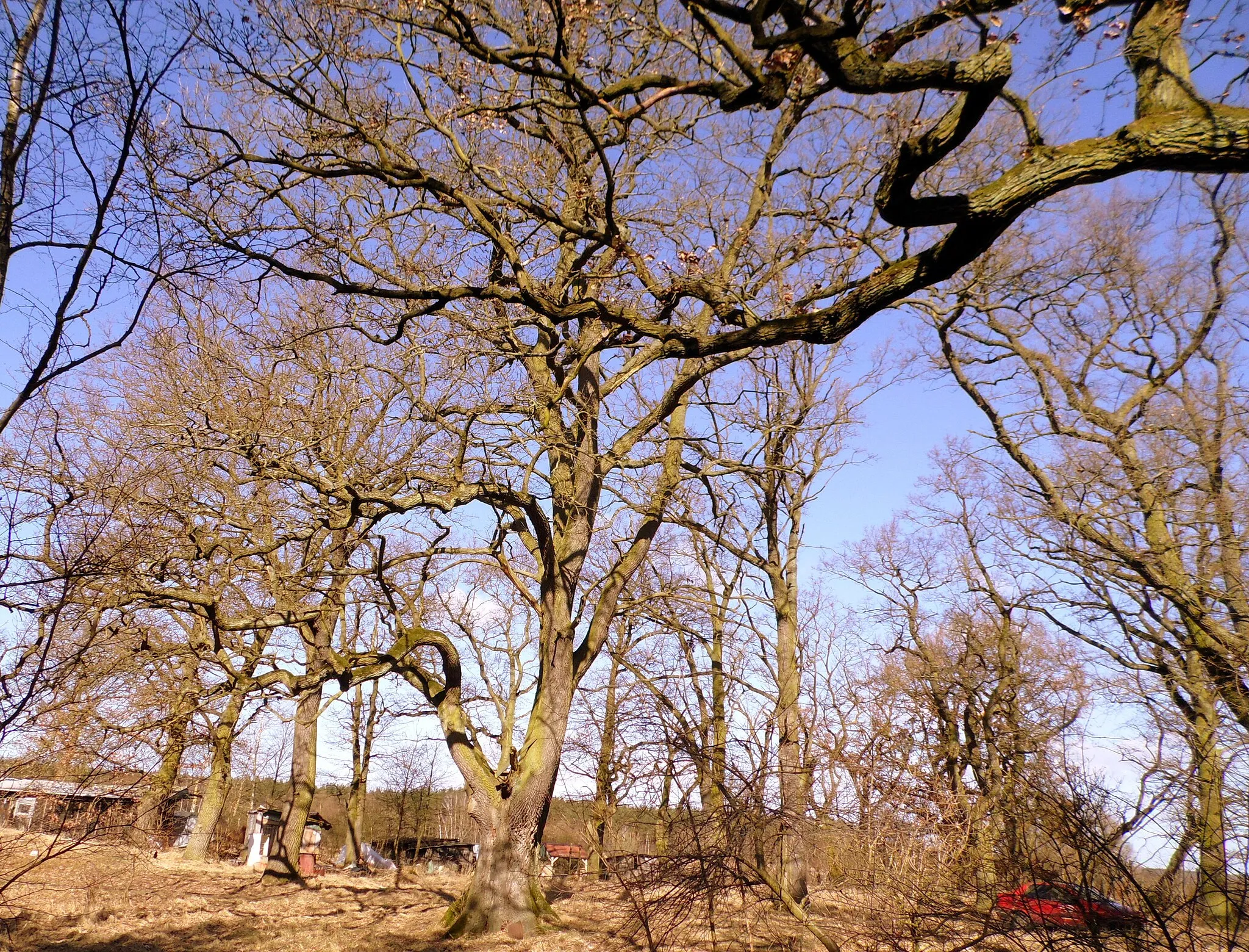 Photo showing: Ininka, Poland