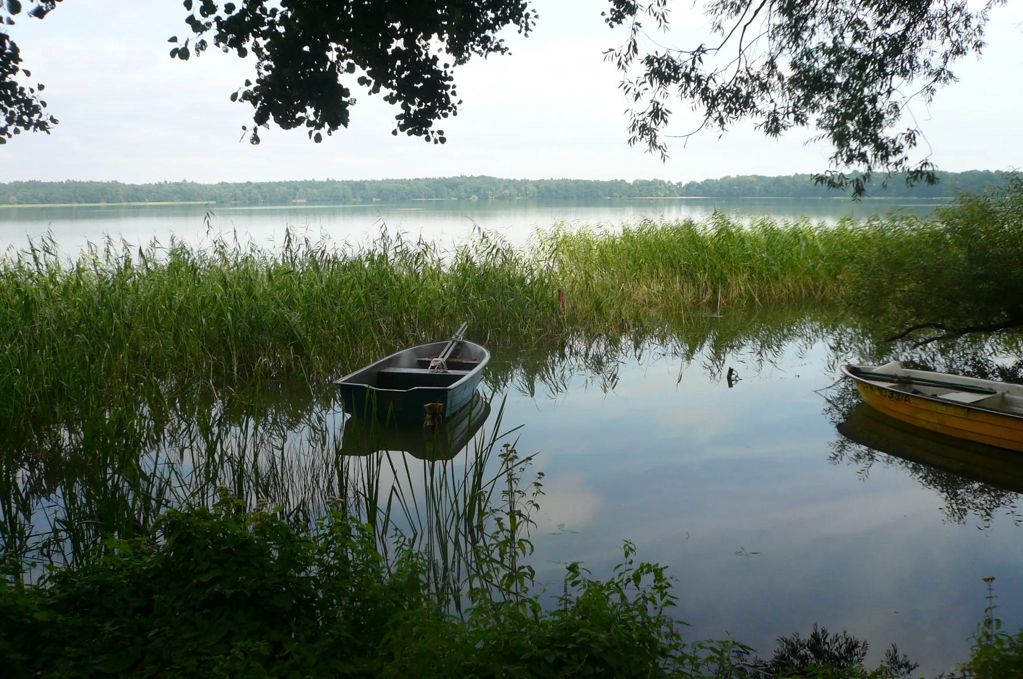 Photo showing: Brzeg jeziora Morzycko w Moryniu