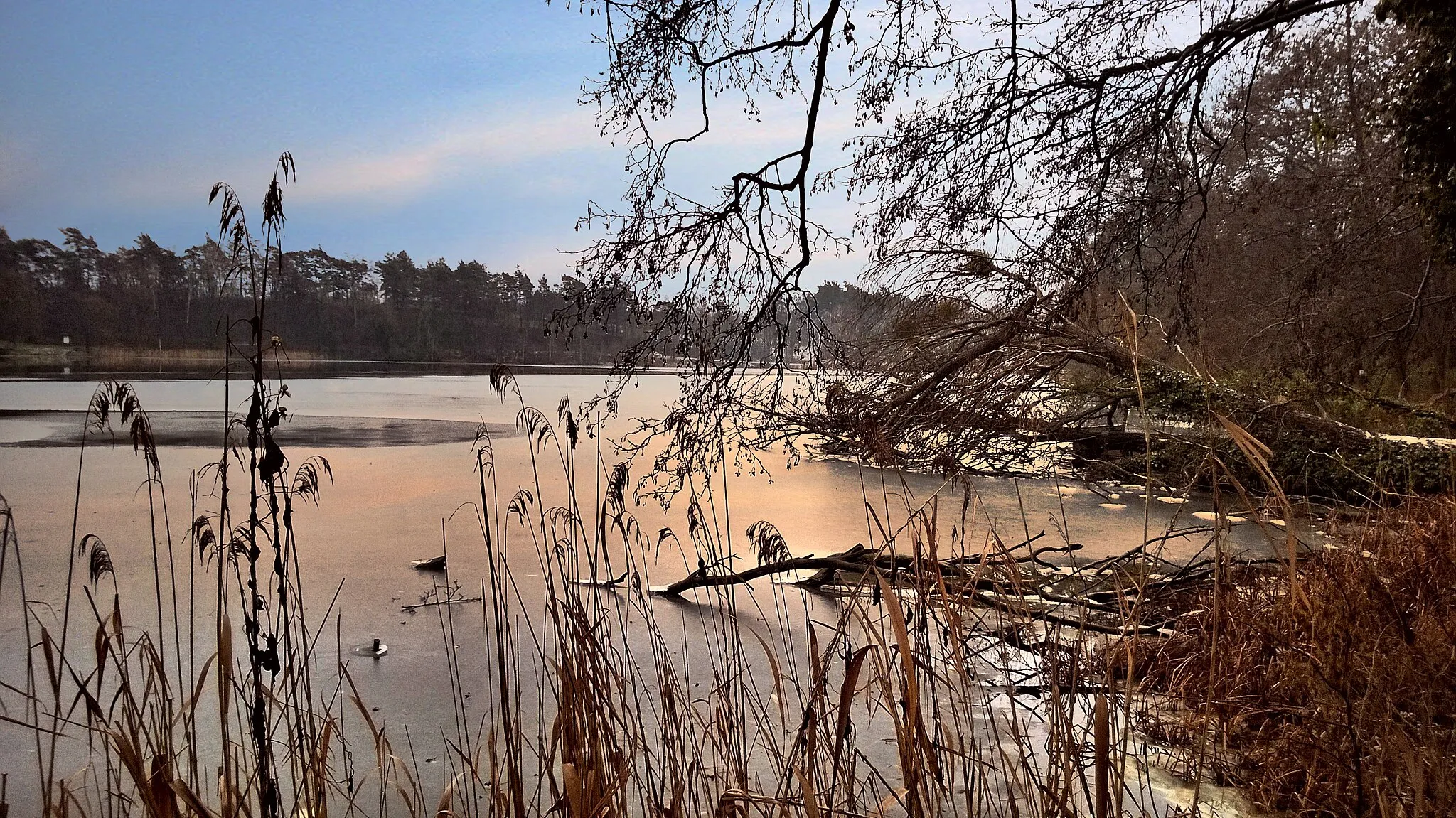 Photo showing: Moryń, Poland