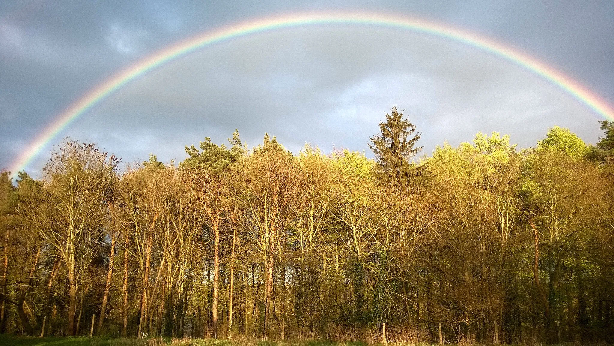 Photo showing: Moryń, Poland